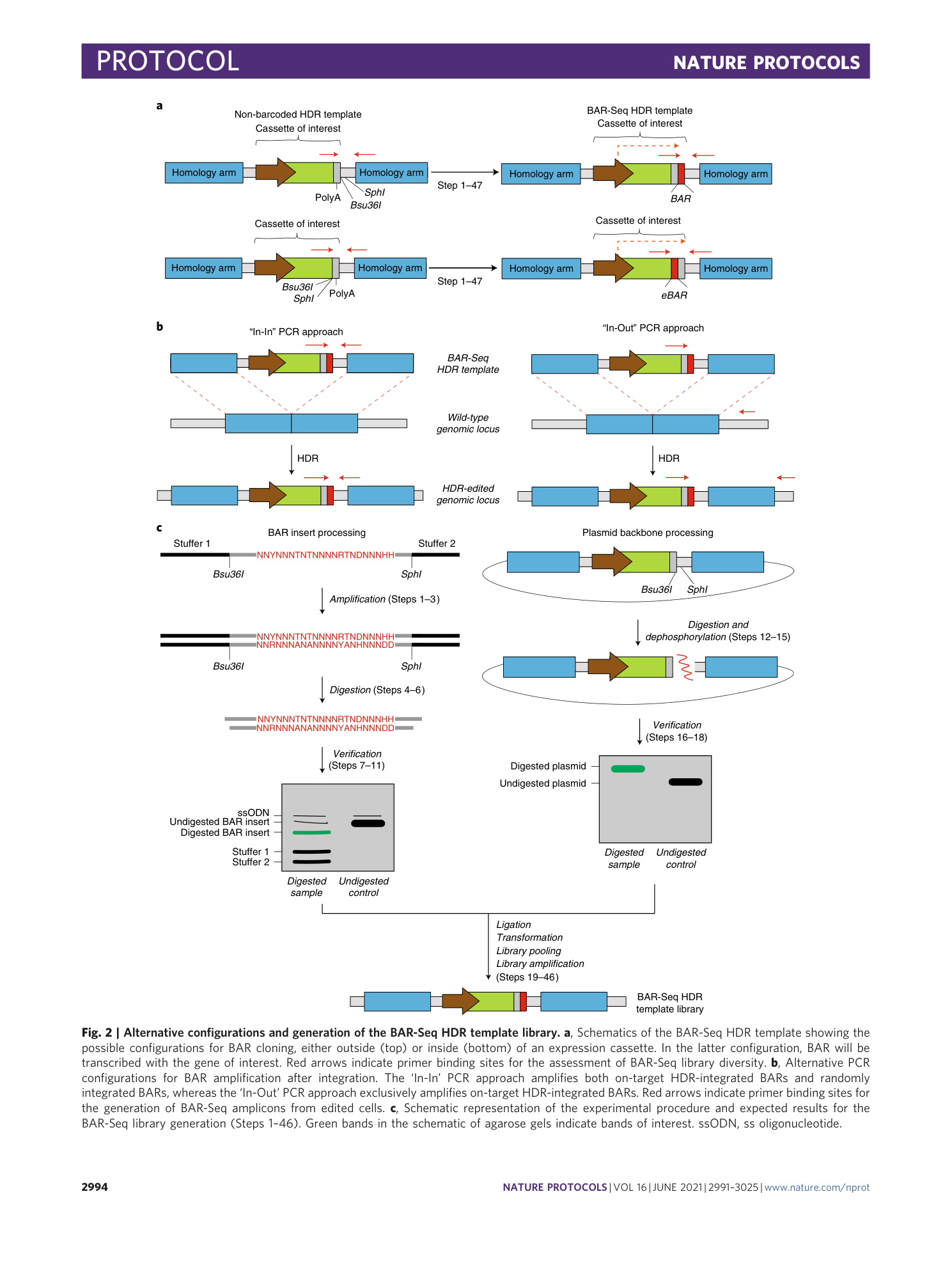 page-4