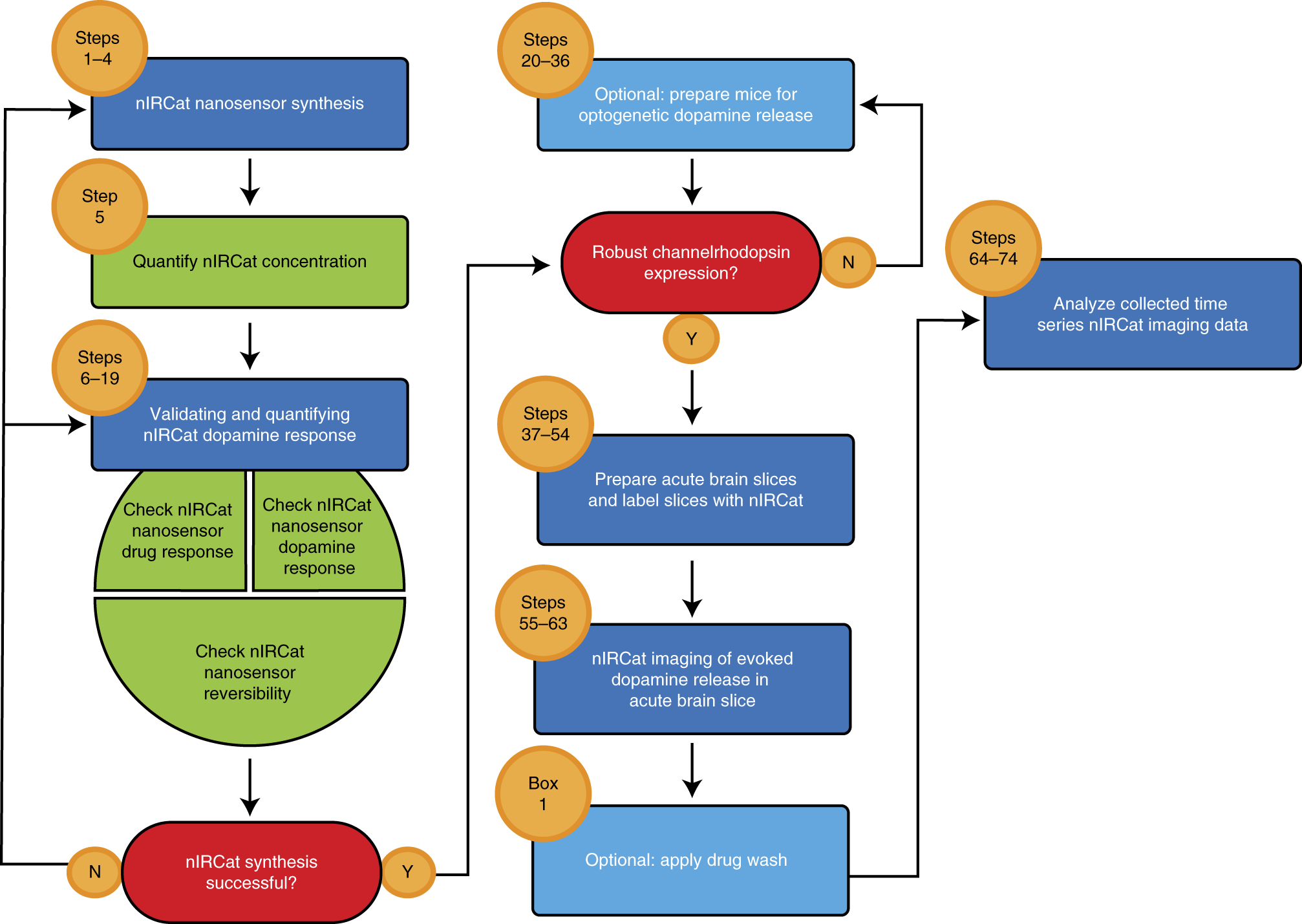 Fig. 1: Overview of the procedure.