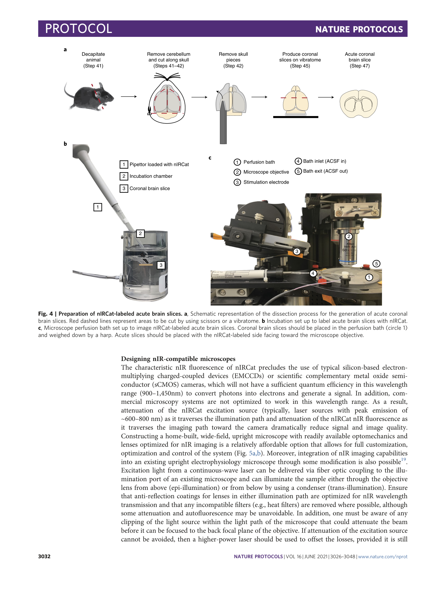 page-7