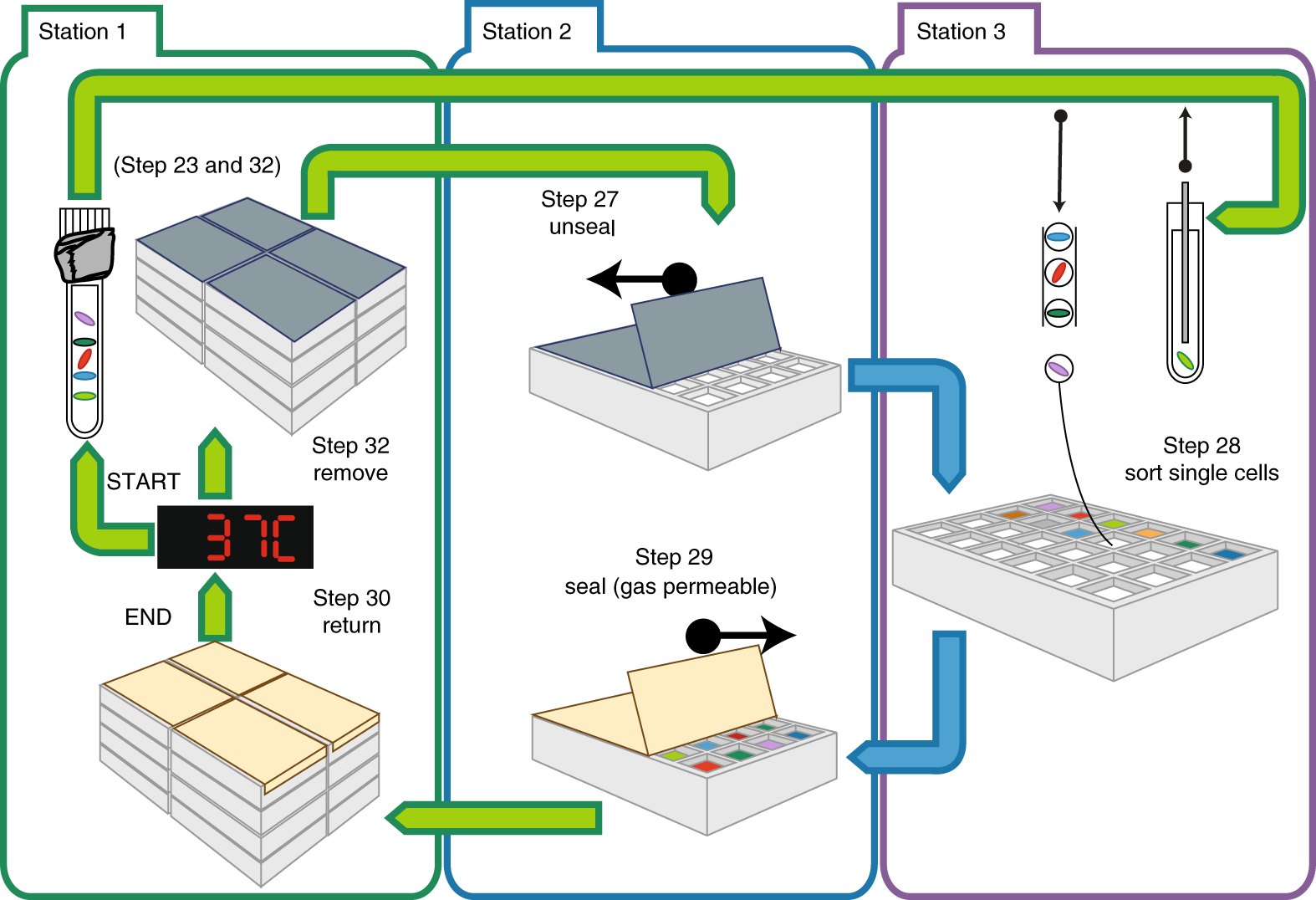Fig. 3: Sorting schematic.