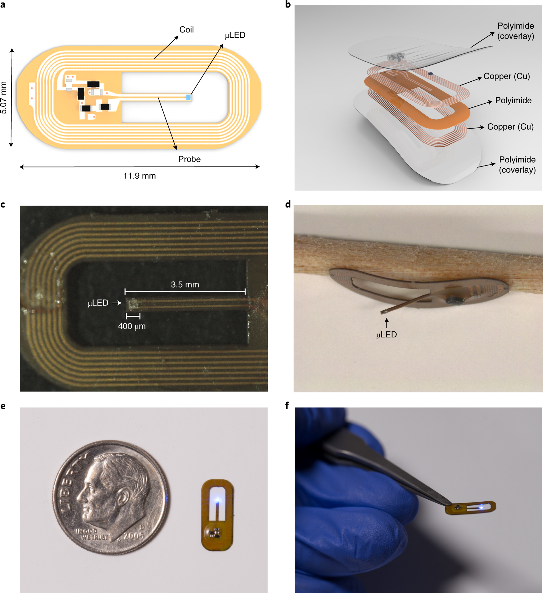 Fig. 1: Schematics of the updated spinal optogenetic device.