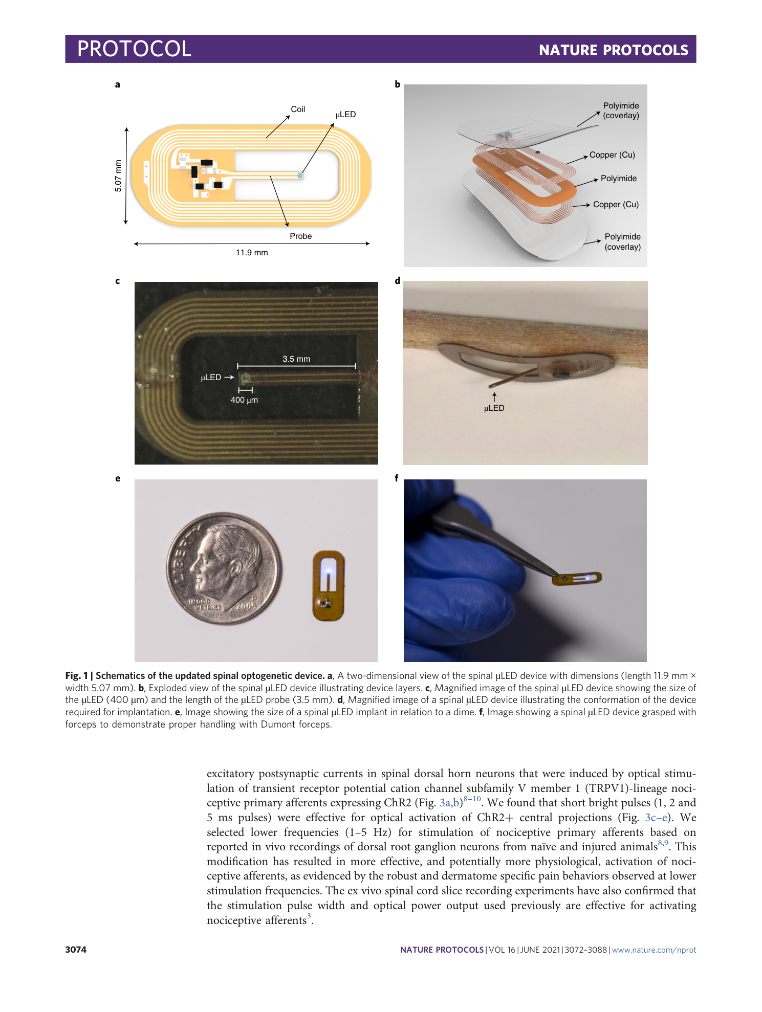 page-3