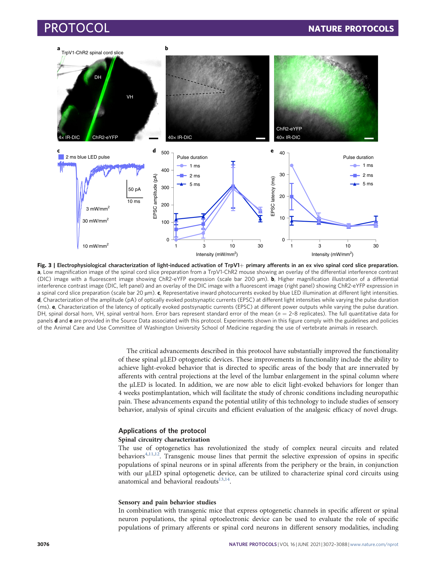 page-5