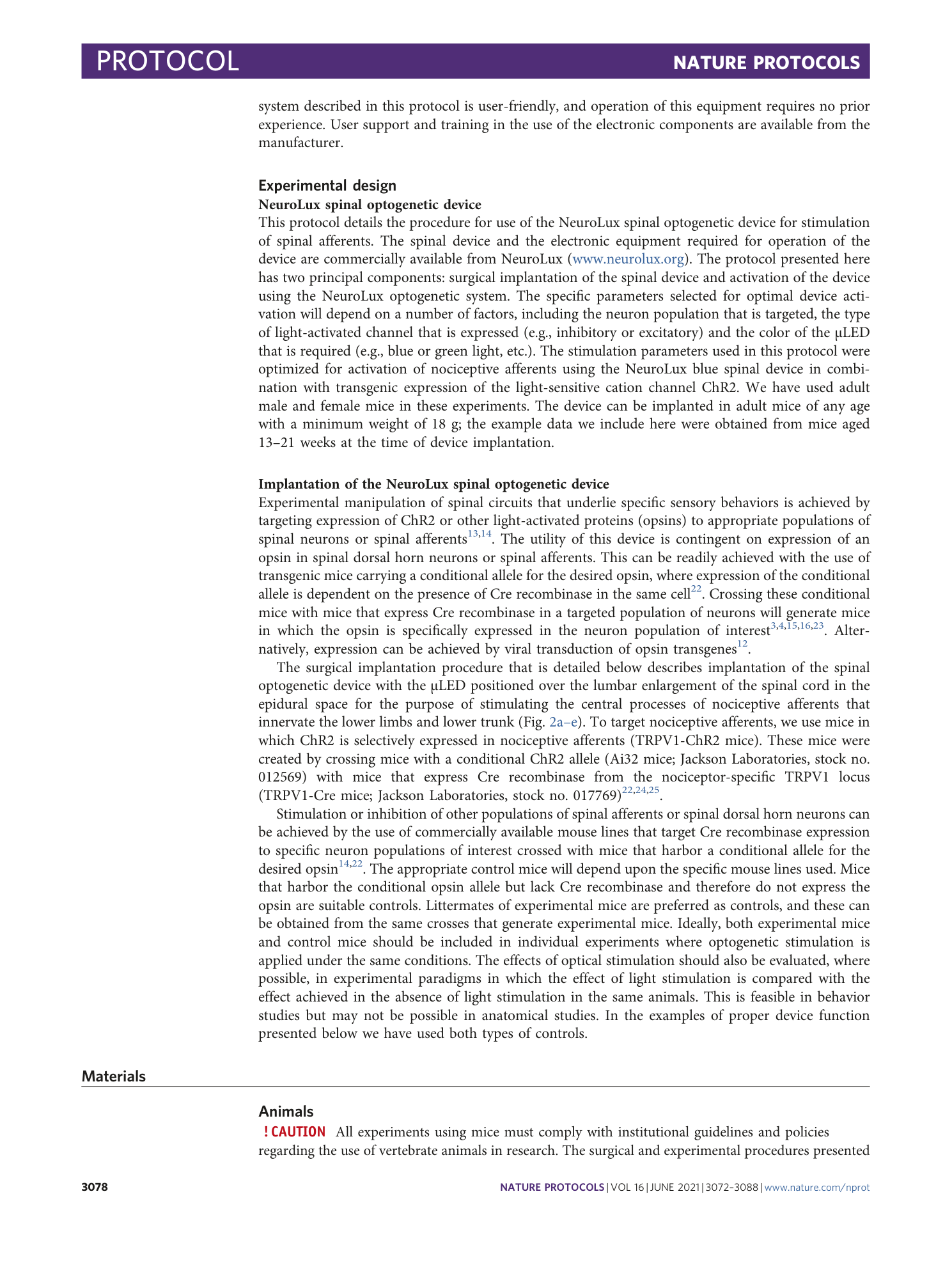 page-7