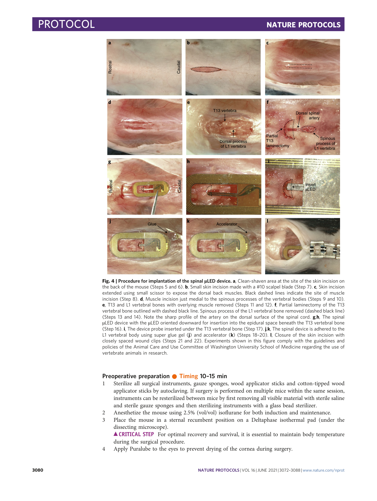 page-9
