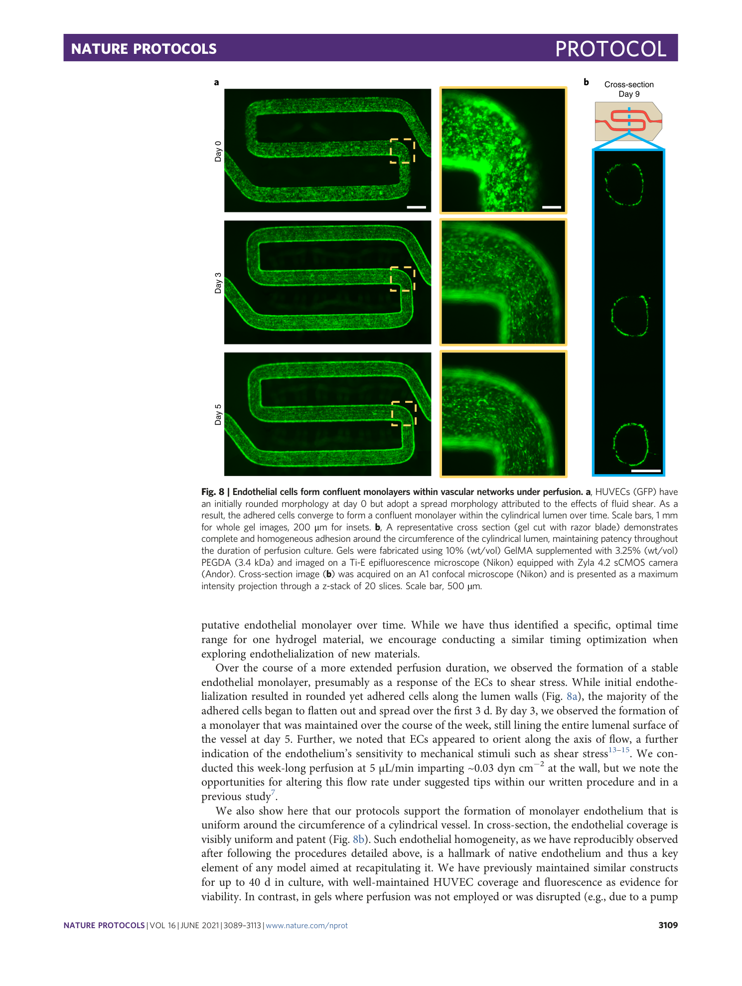 page-21