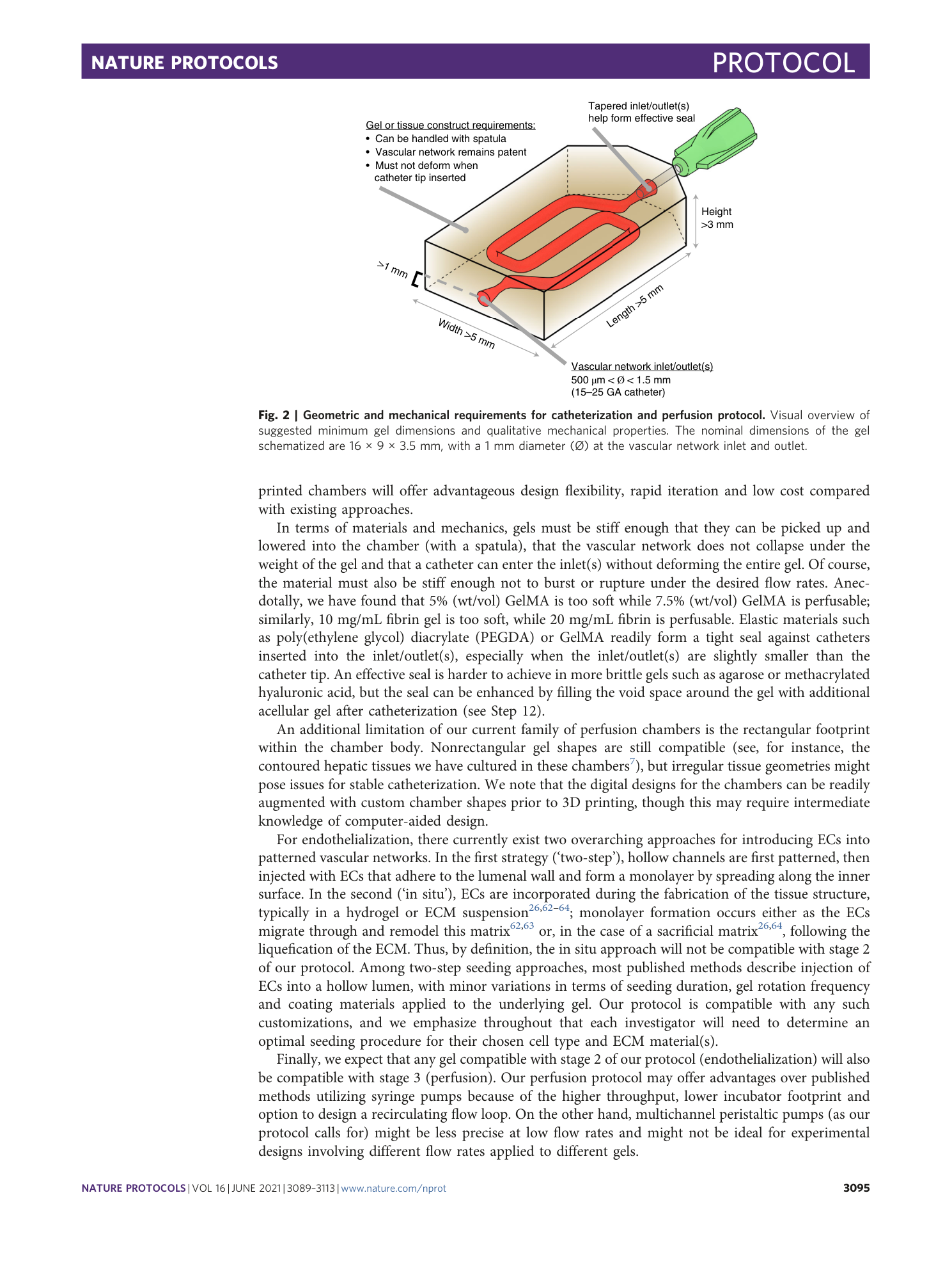 page-7