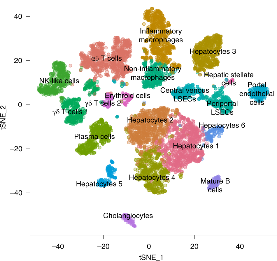 Fig. 1: An annotated single-cell transcriptomic map.