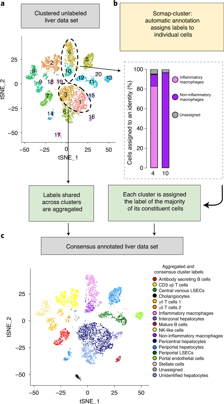 Fig. 4: Refining cluster labels from automatic annotation.
