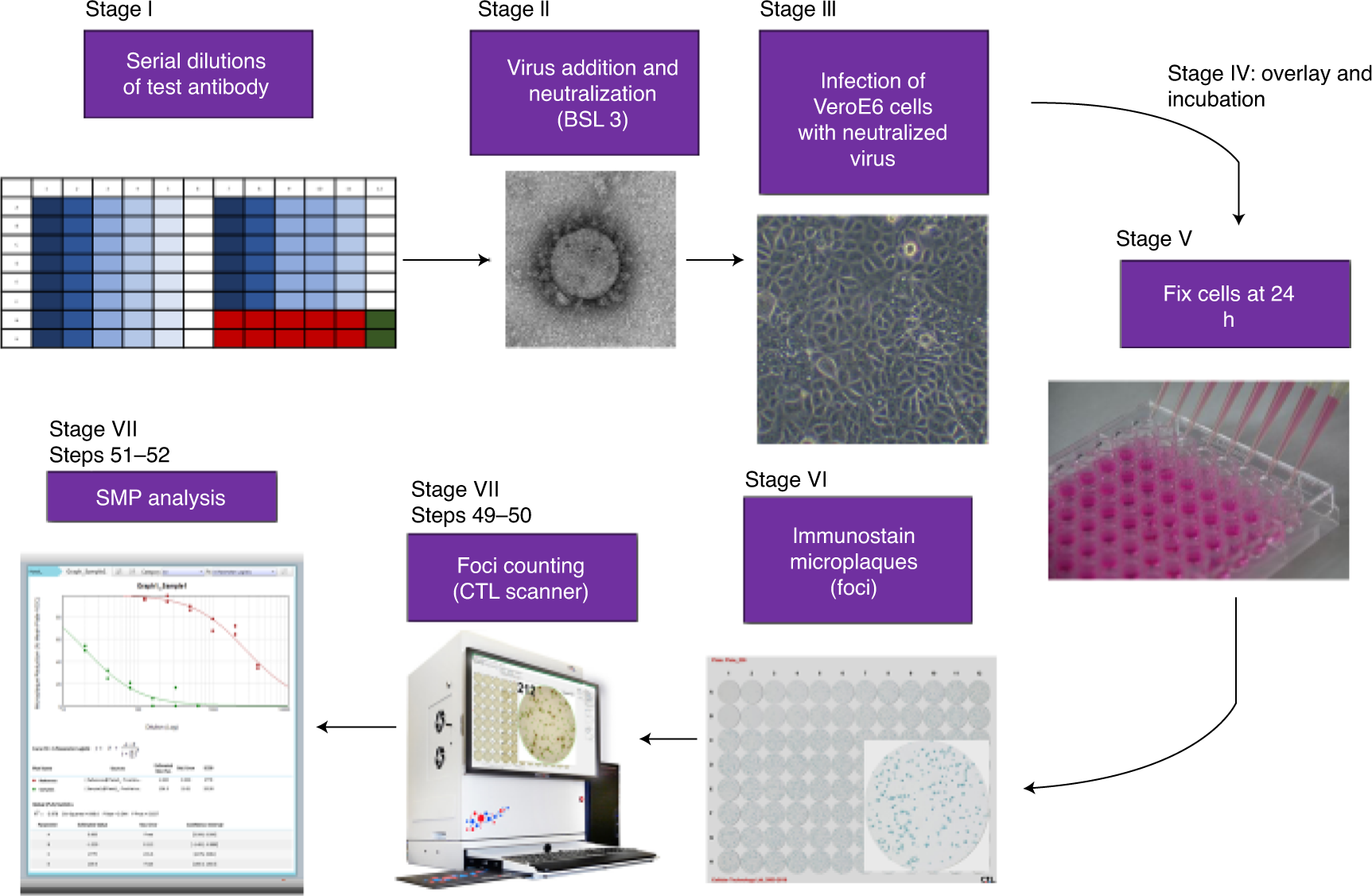 Fig. 1: General overview of the MNA described in Procedure 2.