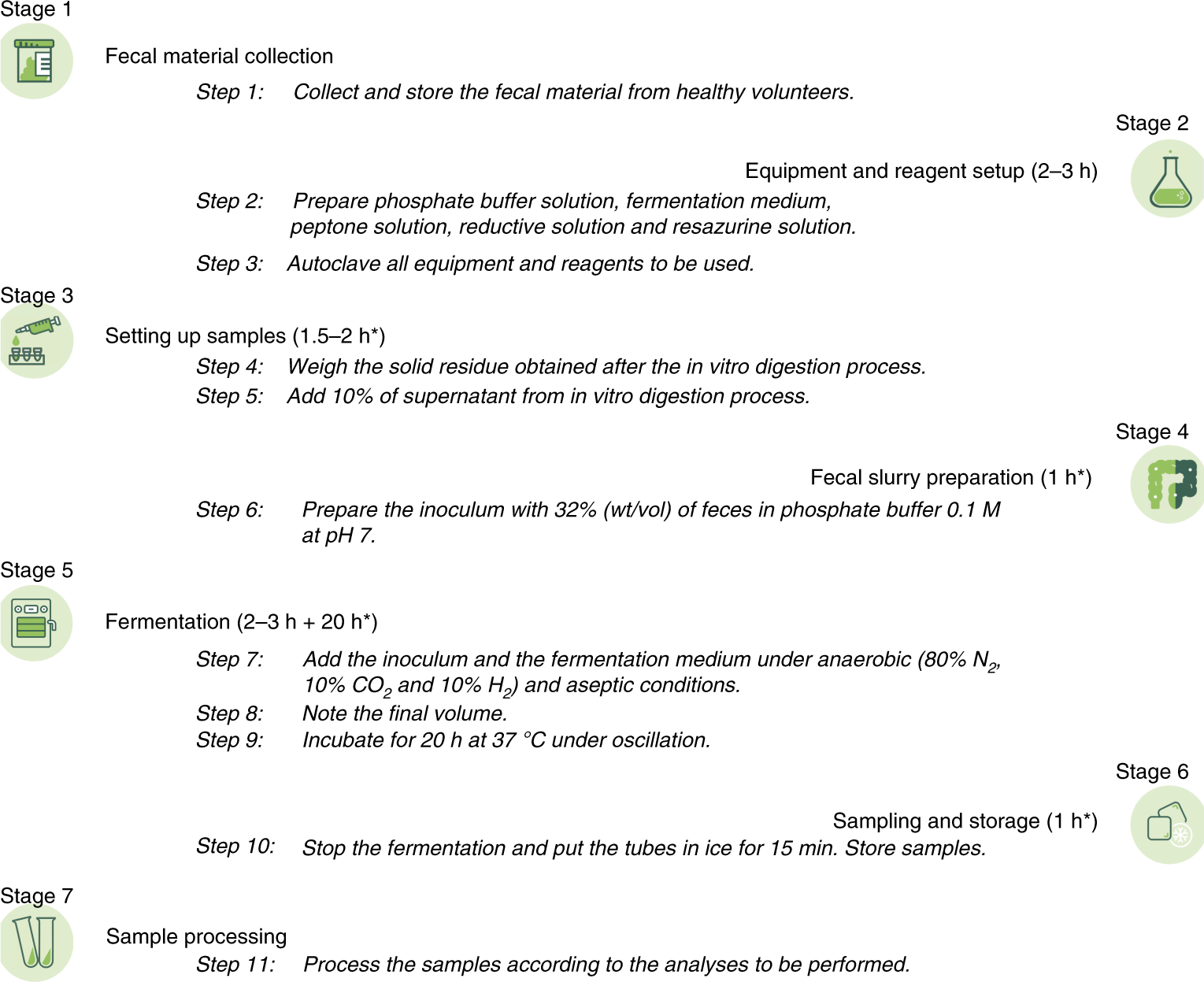 Fig. 1: In vitro fermentation process.