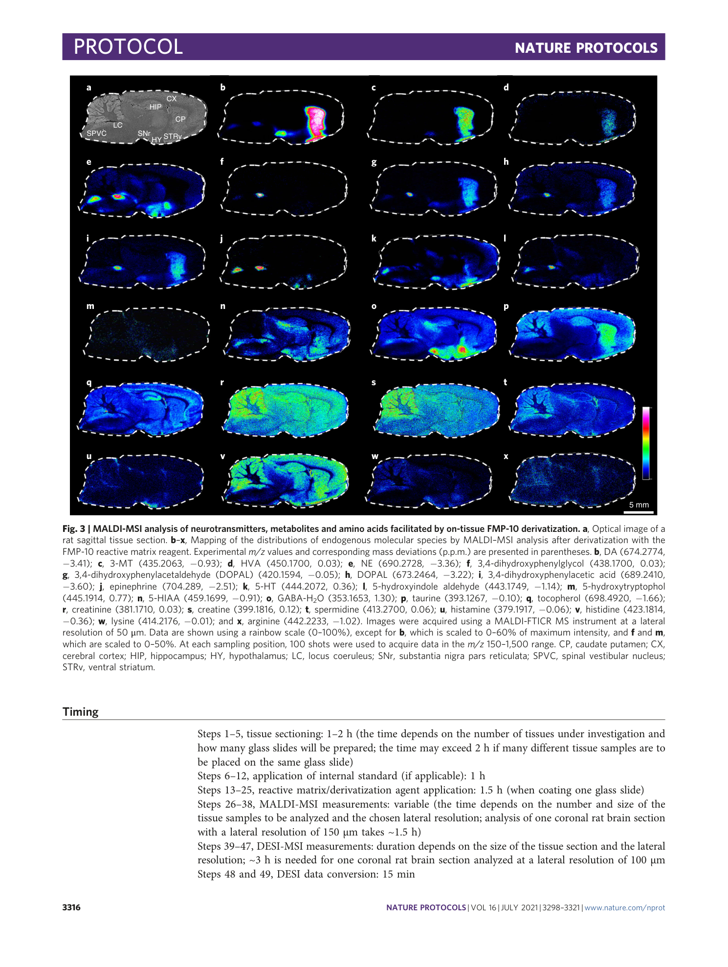 page-19