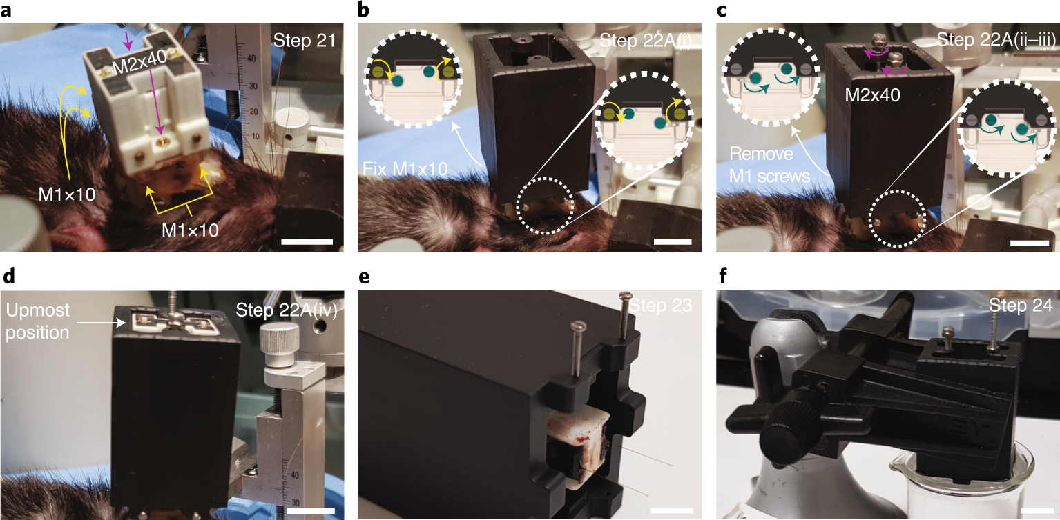Fig. 10: Probe recovery and cleaning.