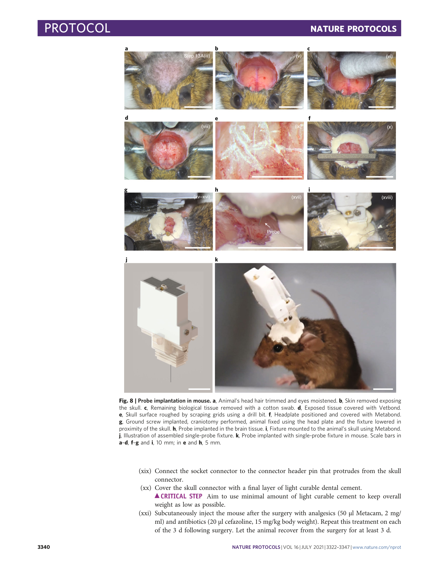 page-19