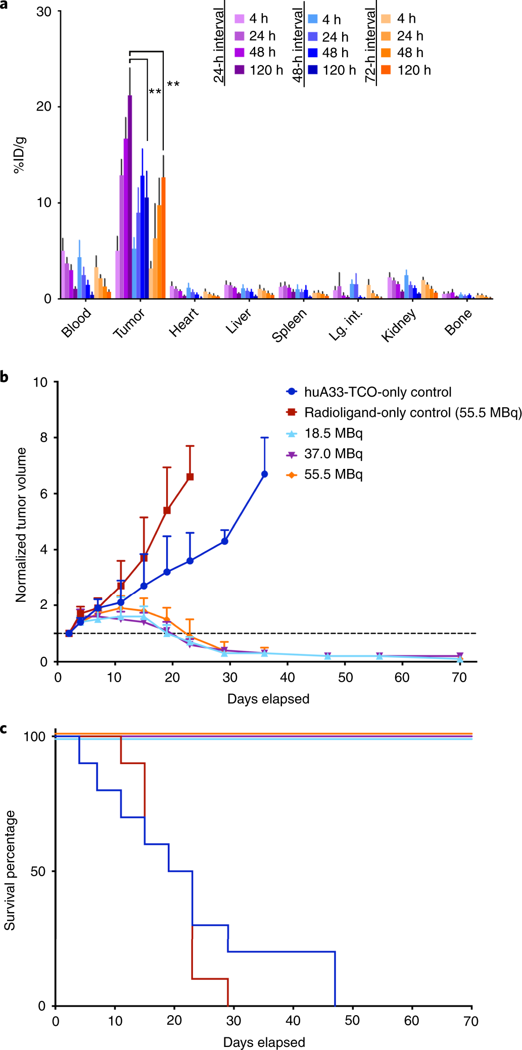 Fig. 6: In vivo pretargeted radioimmunotherapy data.