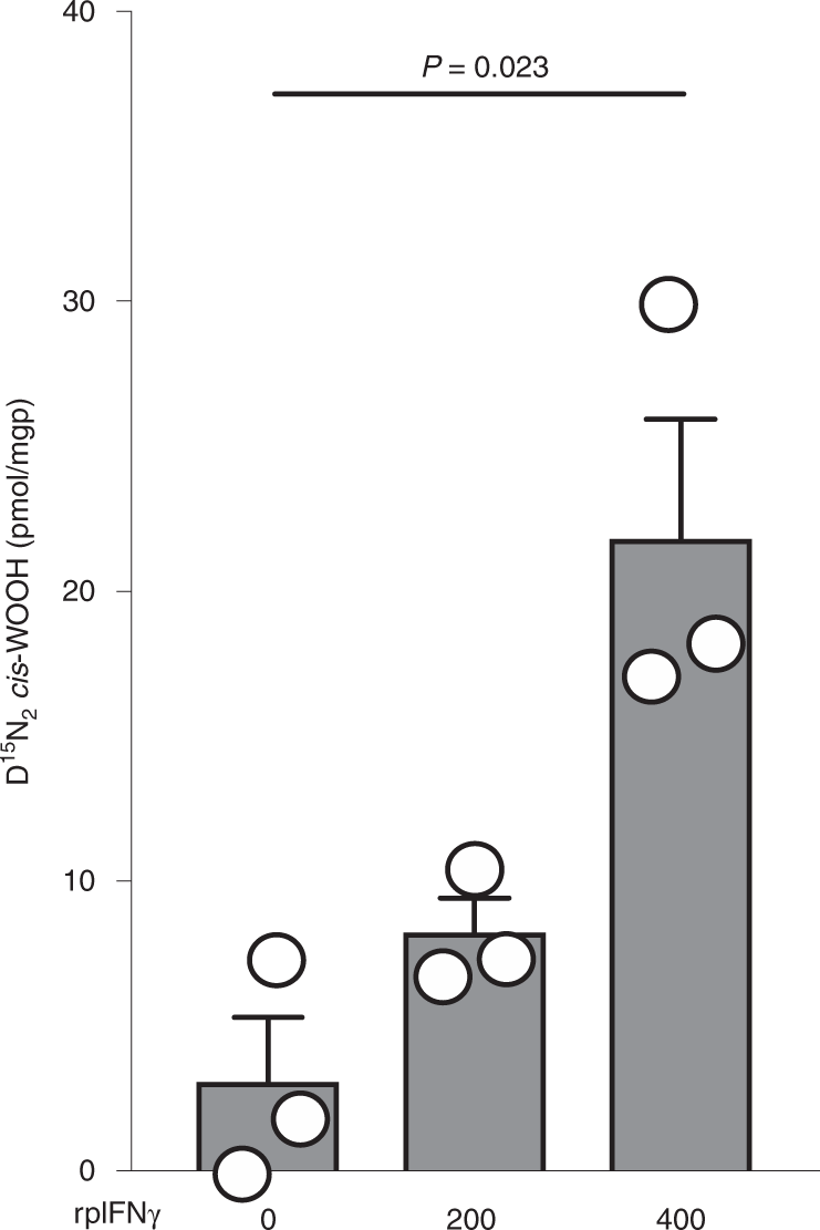 Fig. 8: Endogenous formation of 15N2 cis-WOOH from 15N2 l-Trp by porcine arteries pre-treated with 0, 200 or 400 ng/ml recombinant porcine interferon-γ (rpIFNγ).