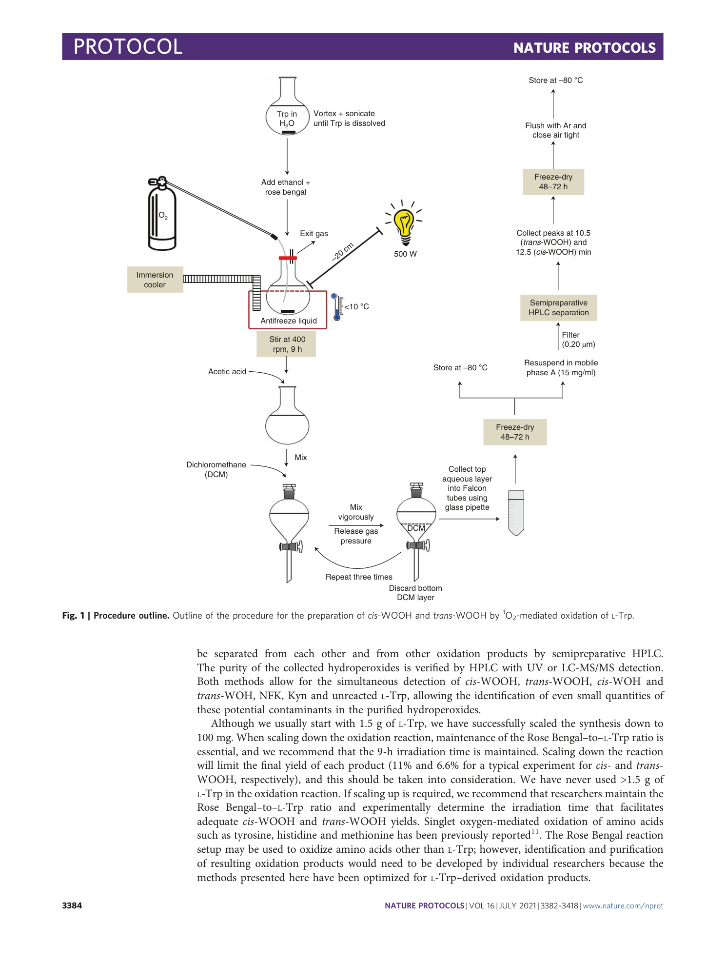 page-3