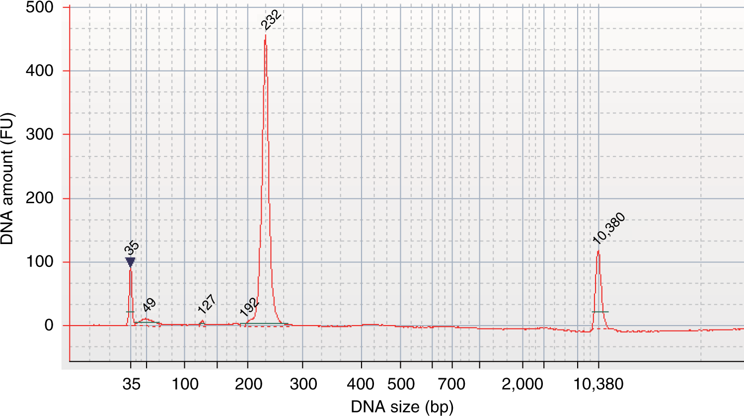 Fig. 6: Size distribution of the DNA library.