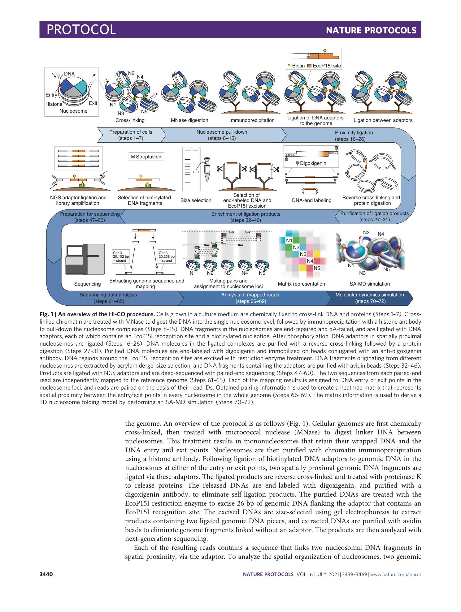 page-2