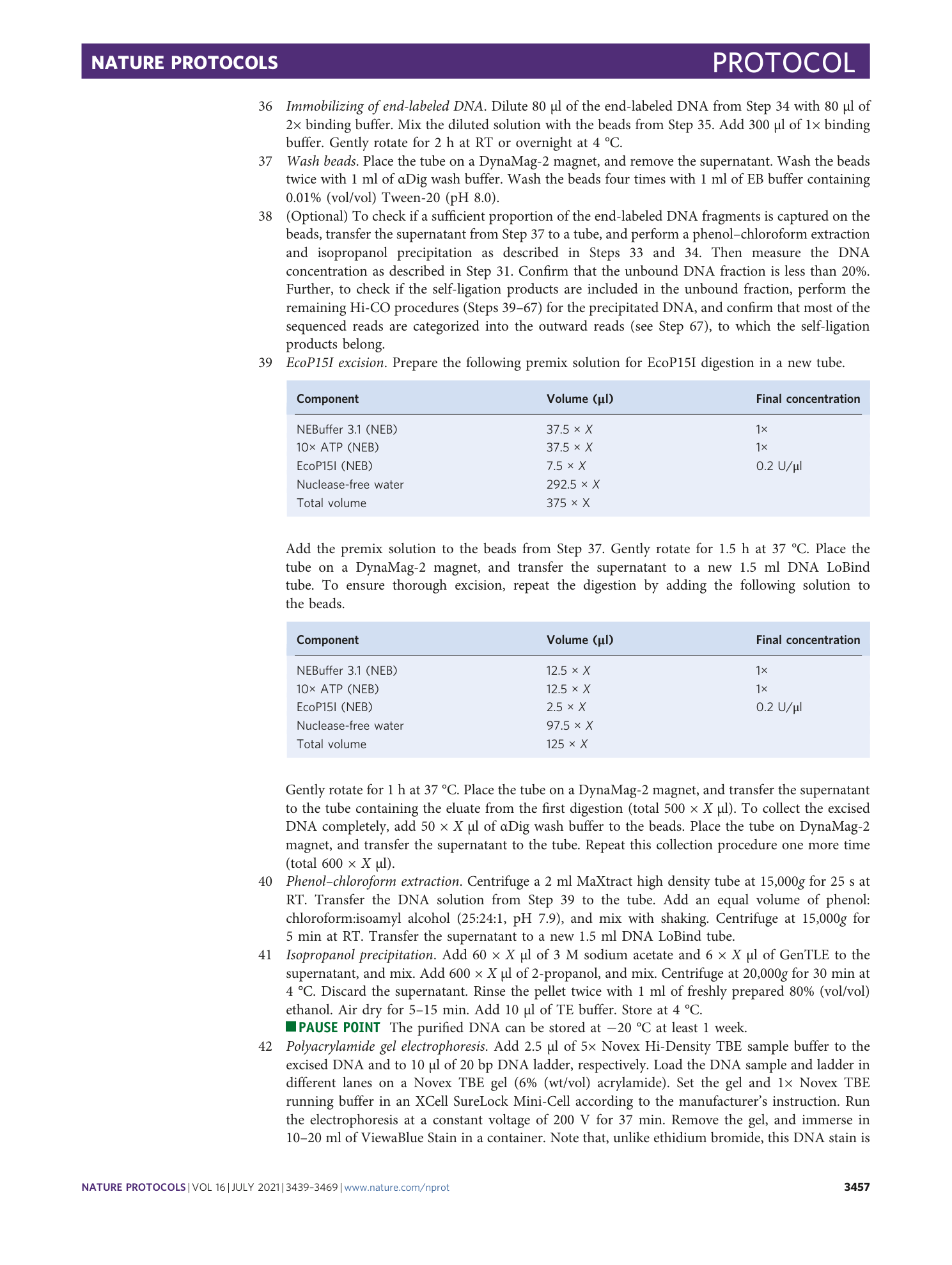 page-19