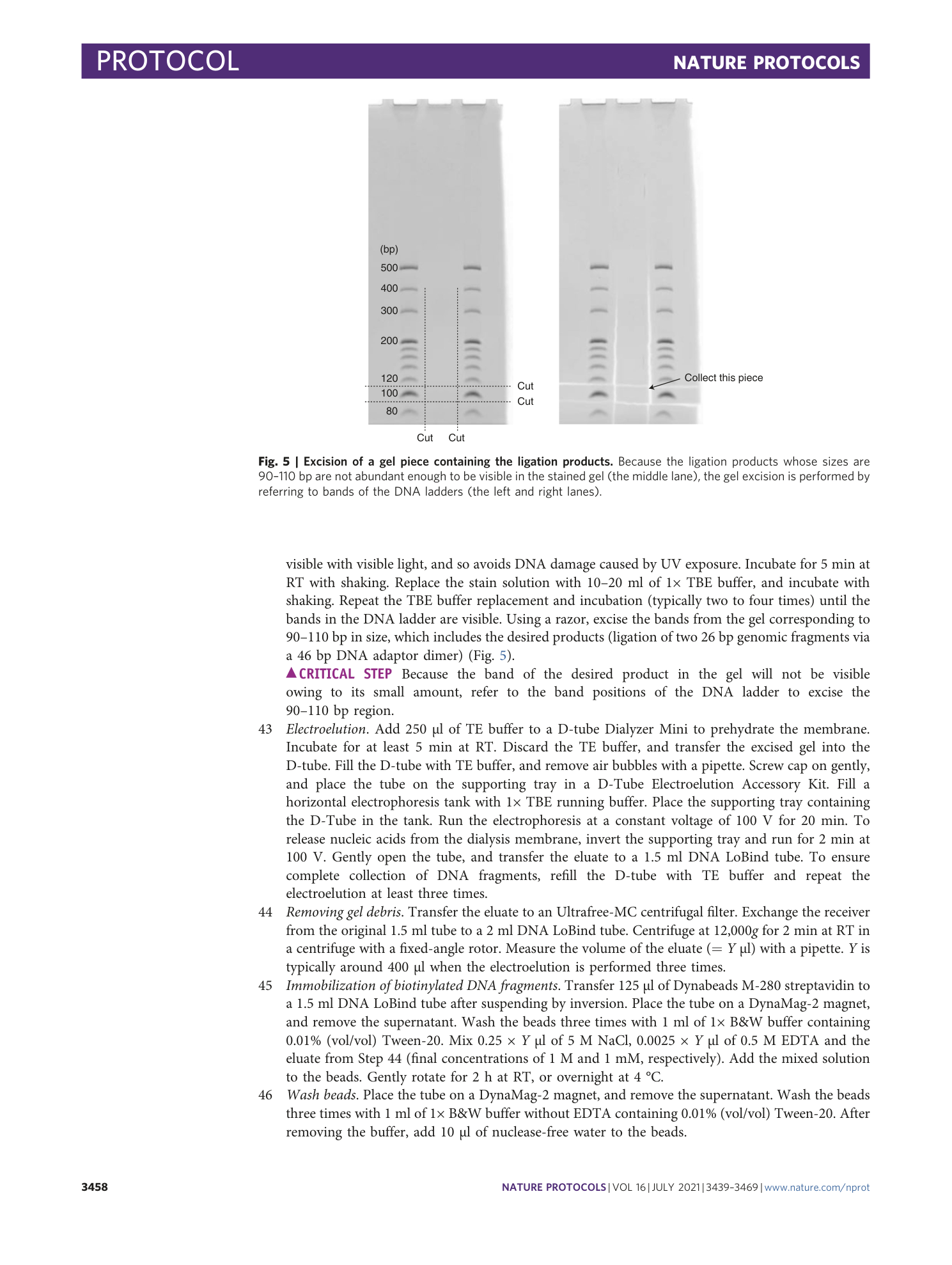 page-20