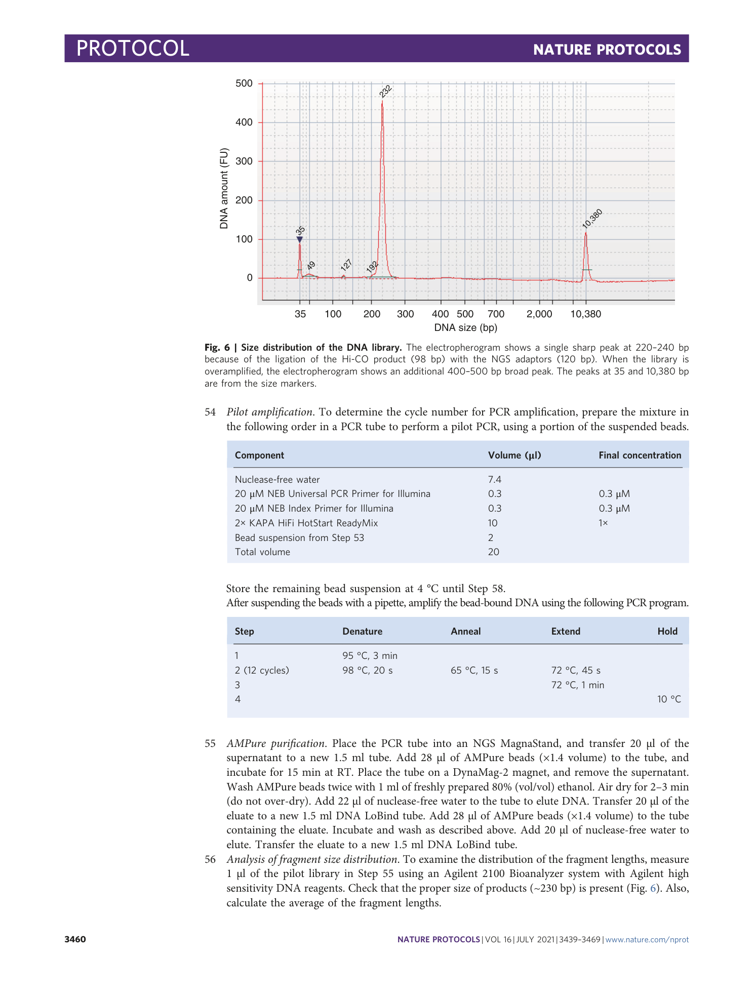 page-22