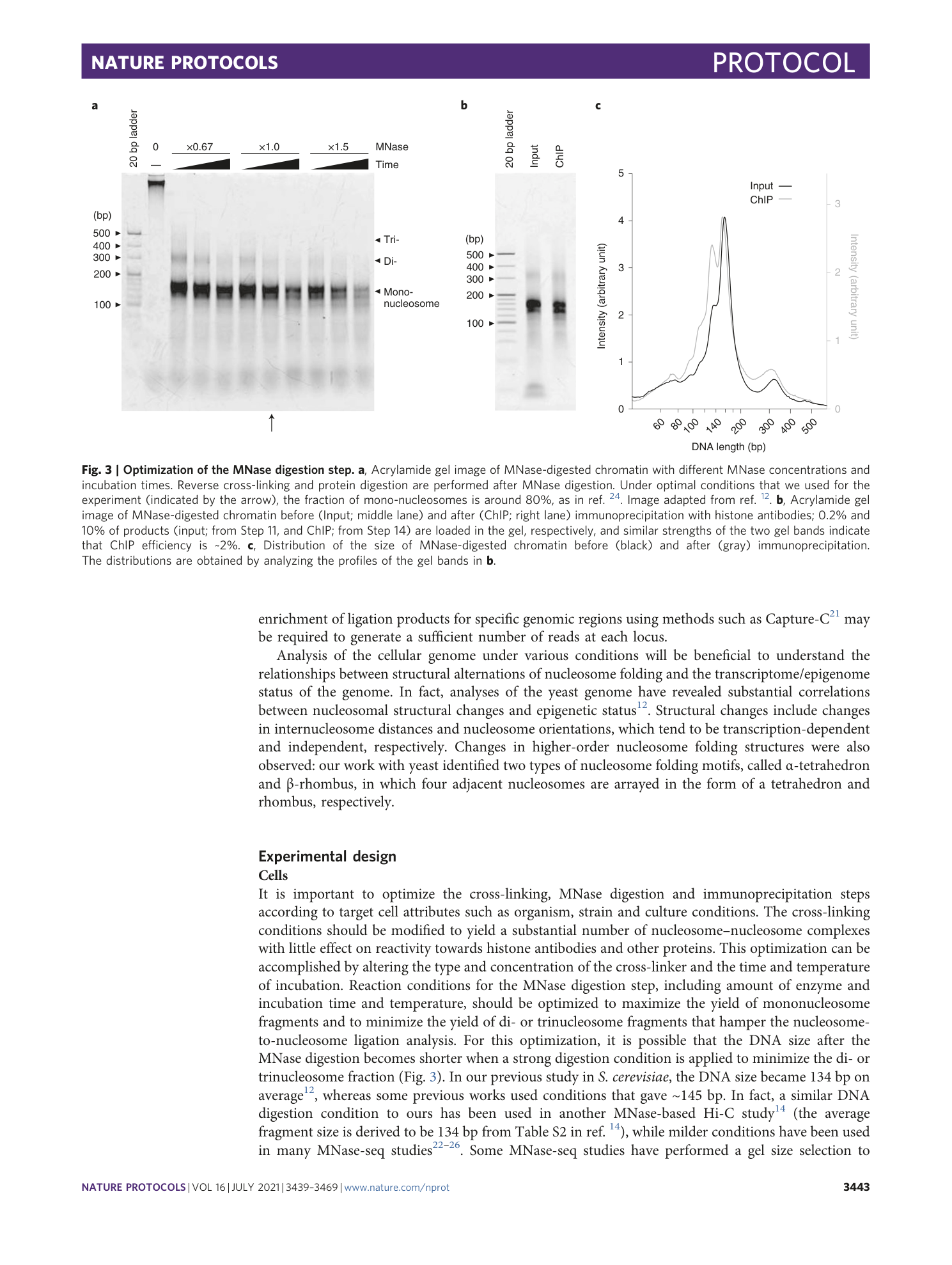 page-5