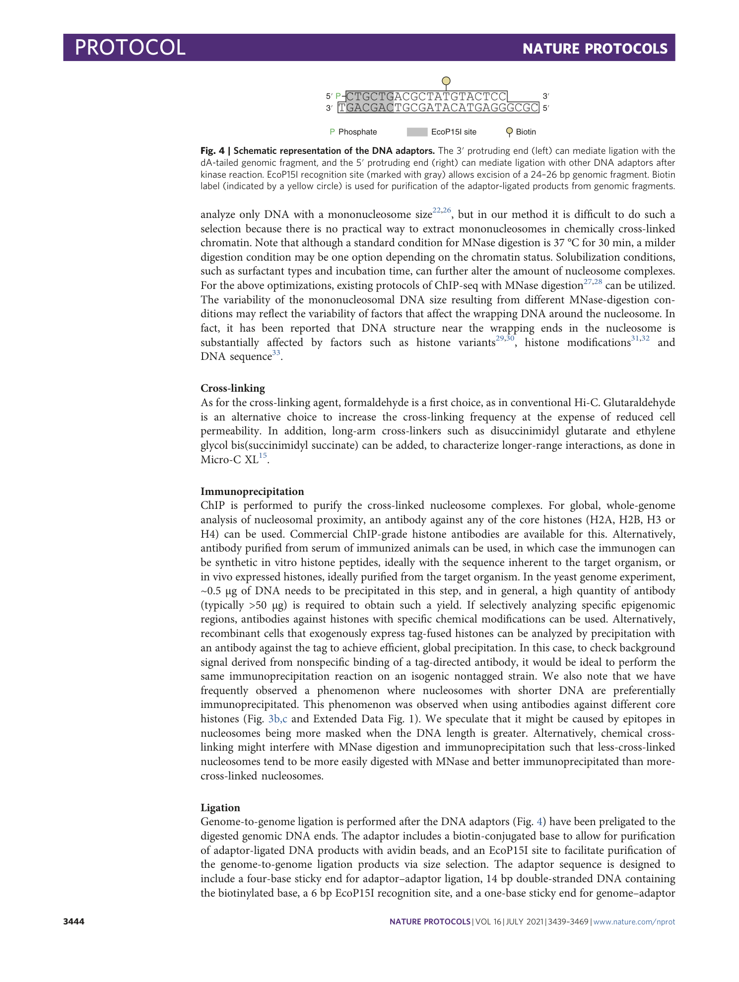 page-6