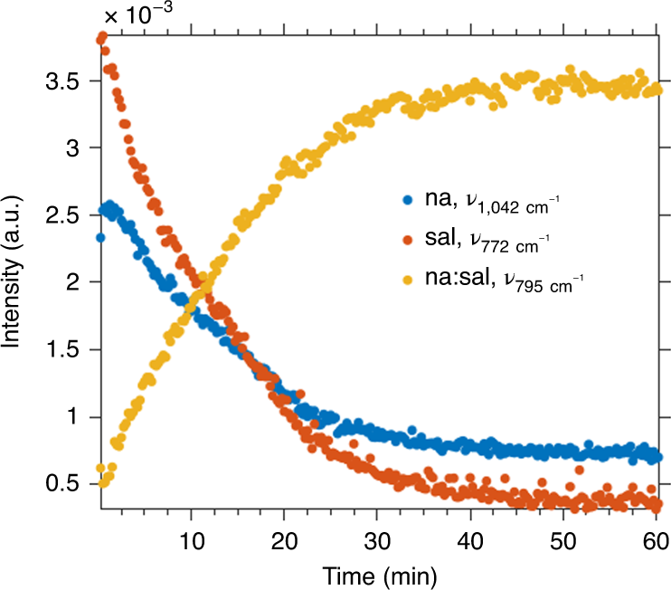 Fig. 3: Reaction profile obtained by plotting intensities at the peak maximum versus time for NG of na and sal.