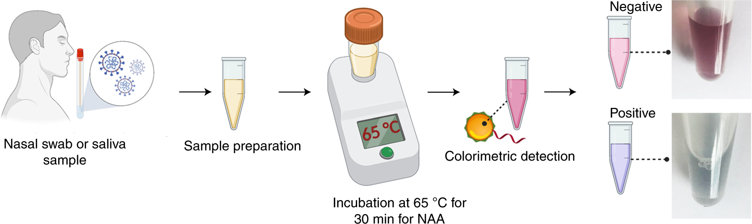 Fig. 2: Basic stages of the NACT.