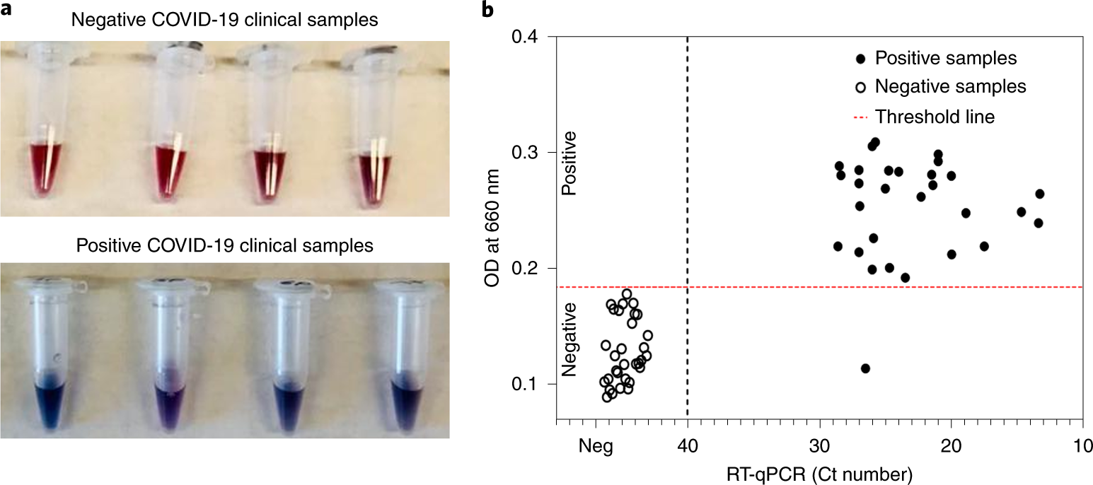 Fig. 6: Performance evaluation of the protocol using RNA extracted from clinical nasopharyngeal and oropharyngeal swabs samples.