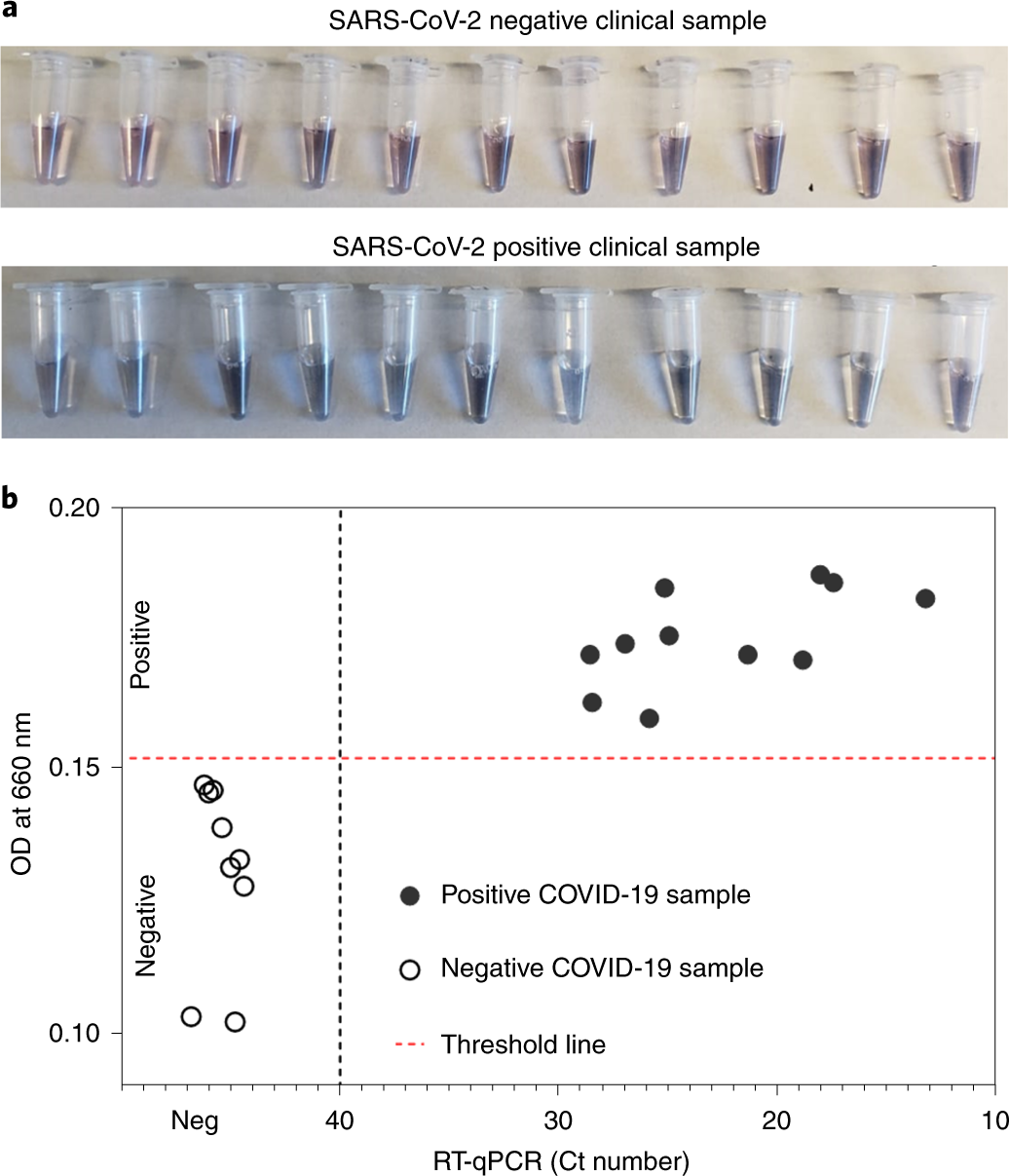 Fig. 8: Detection of SARS-CoV-2 directly from 22 clinical samples without any RNA extraction/ purification.