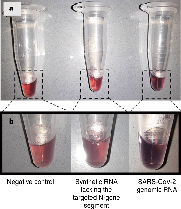 Fig. 9: Control experiment for evaluating the targeting efficiency of the ASO and specificity of the NACT approach.
