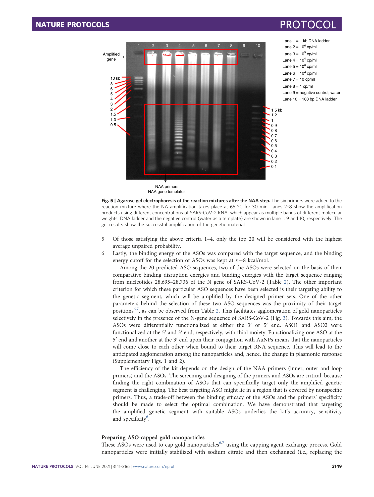 page-9