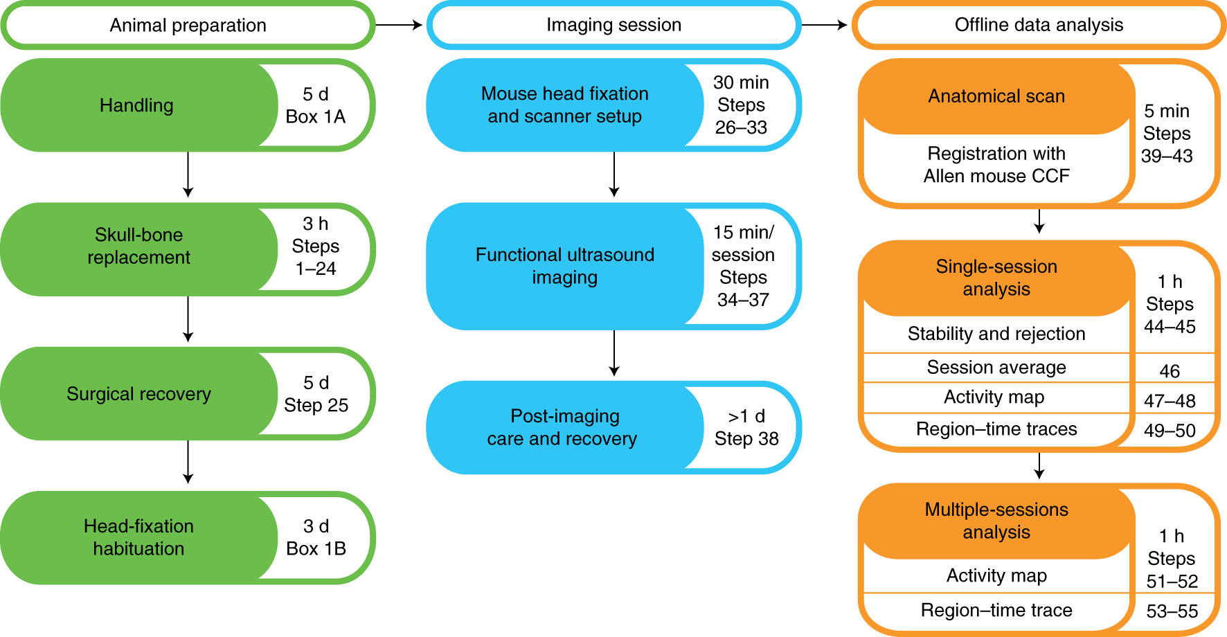 Fig. 1: Flowchart of the procedure.