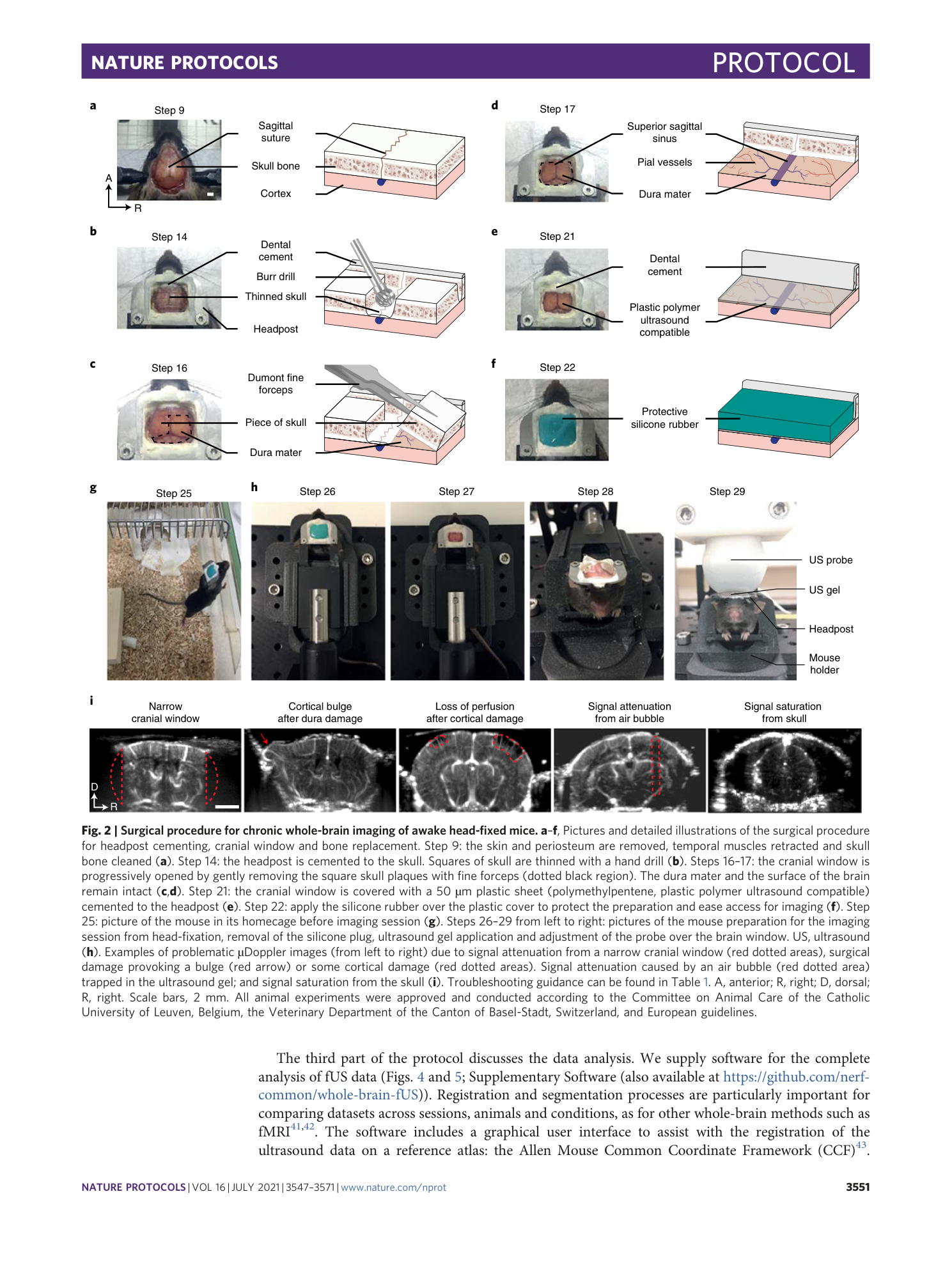 page-5