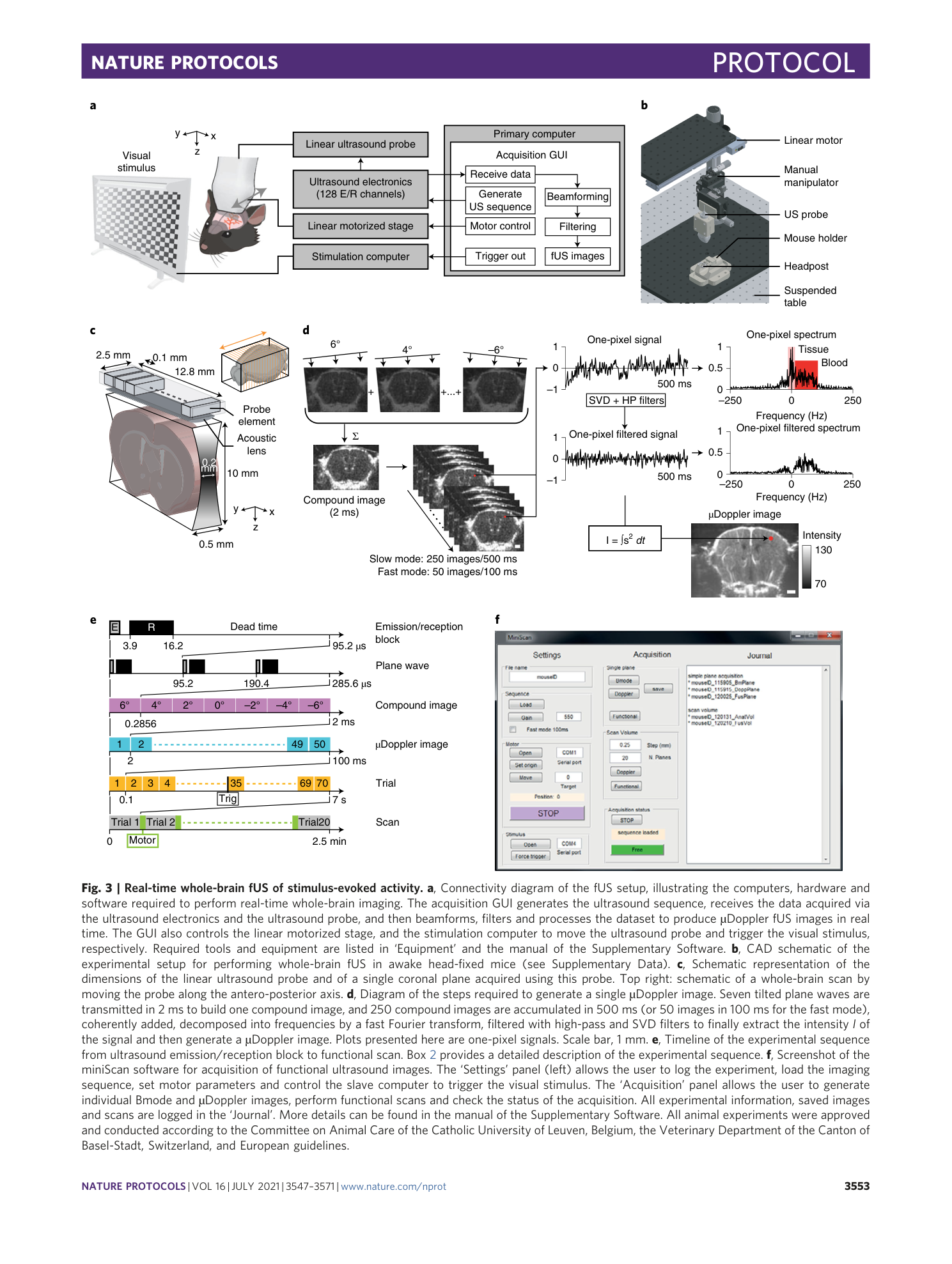 page-7