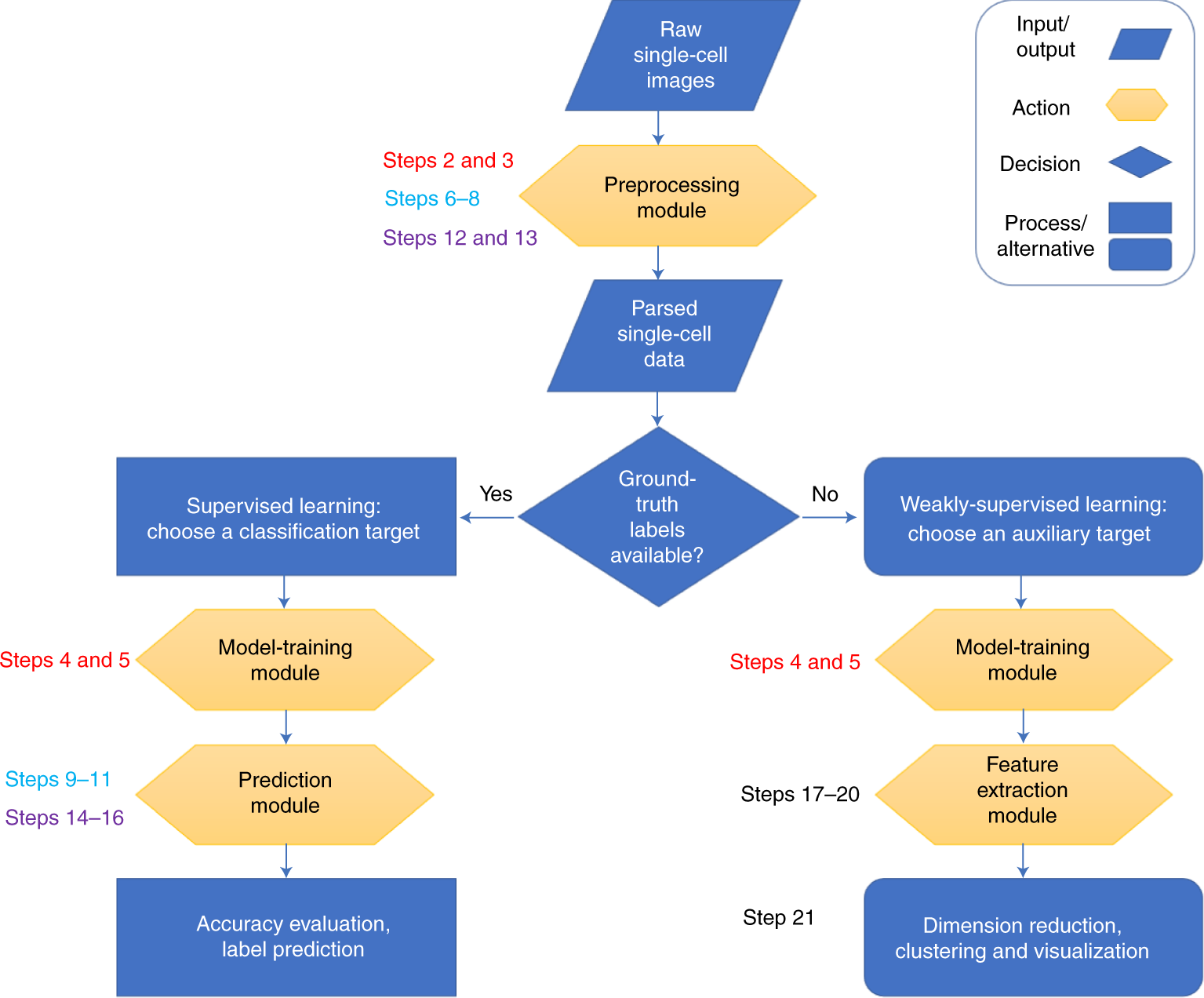 Fig. 2: The overall workflow of the Deepometry procedure.