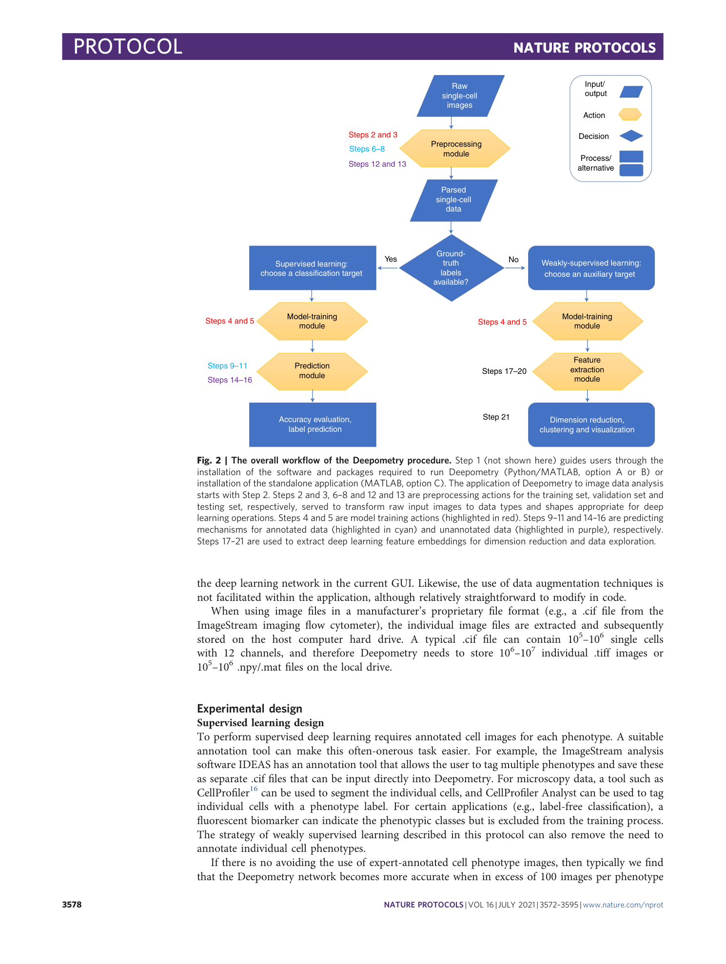 page-7