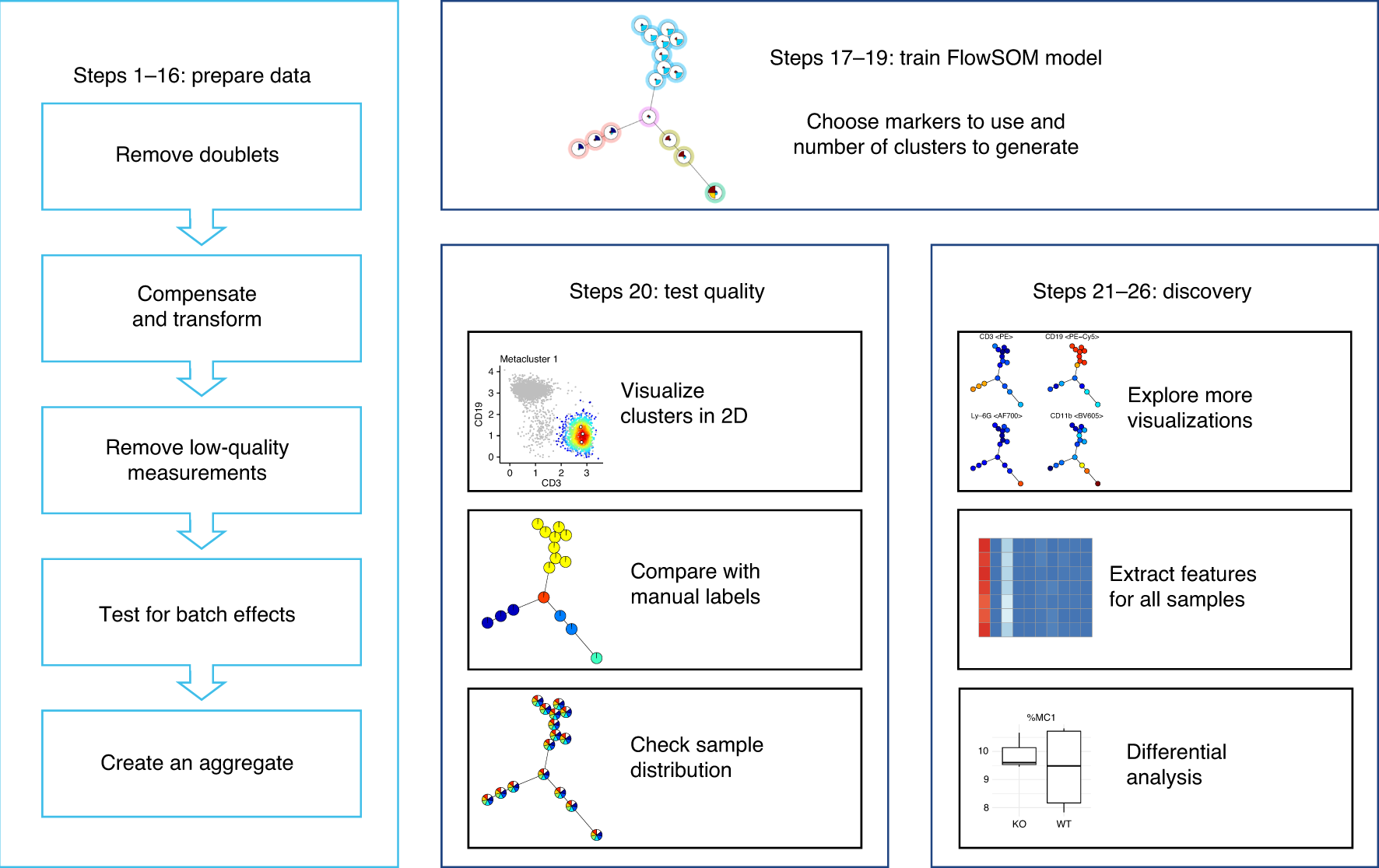 Fig. 1: FlowSOM analysis pipeline.