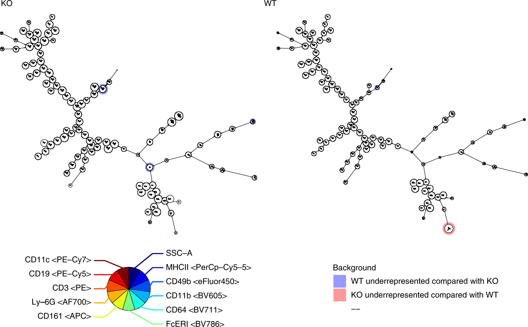 Fig. 7: Groups comparison.