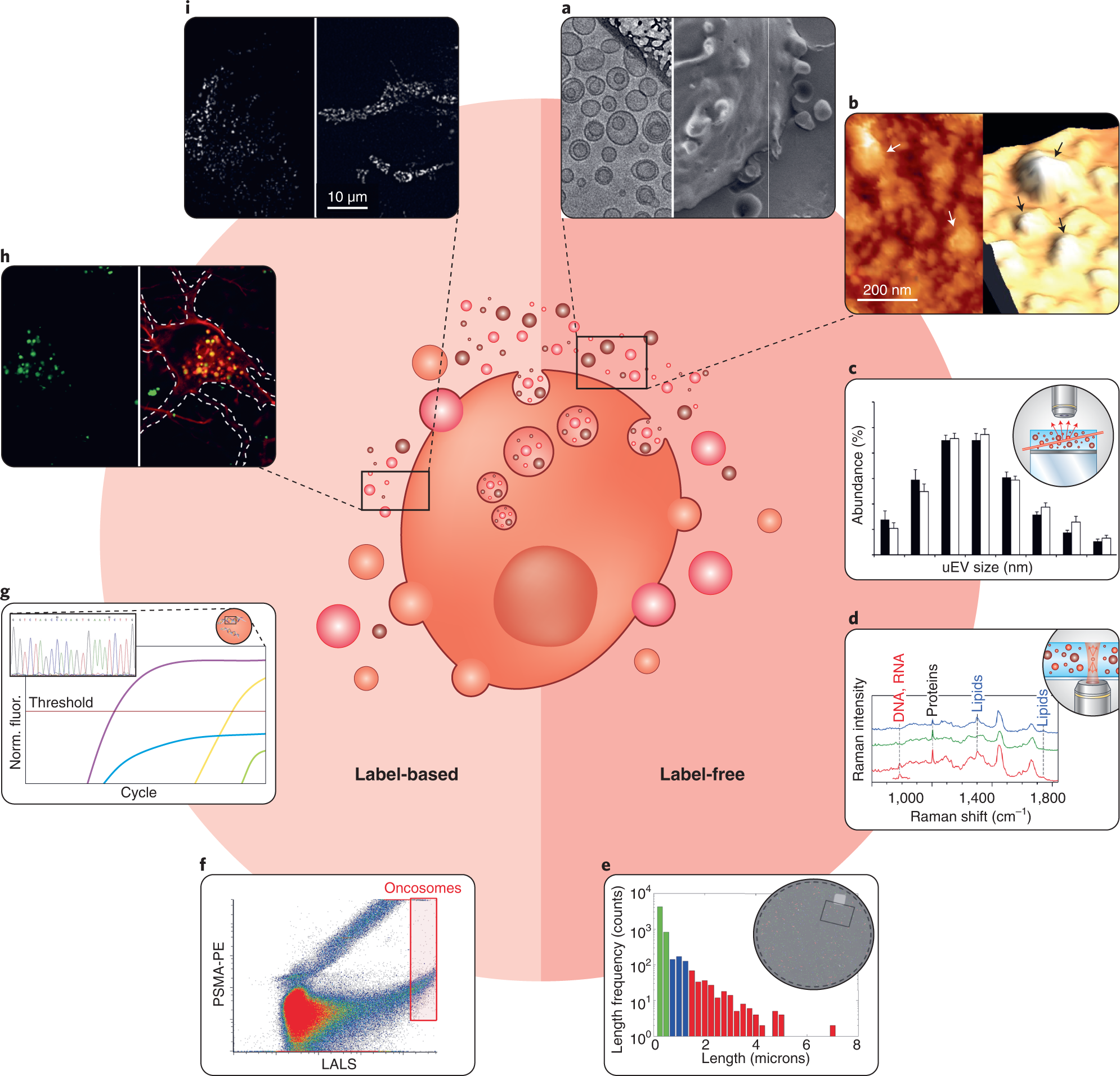 Fig. 1: Schematic overview of the main SVA techniques discussed in this review.