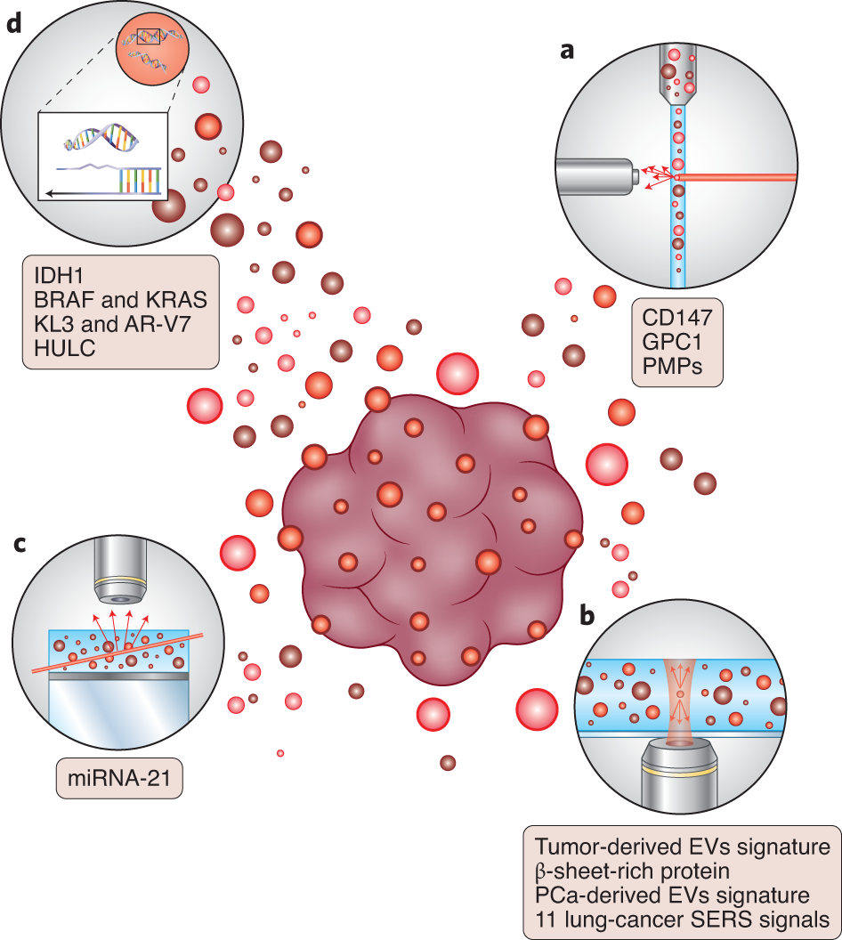 Fig. 3: Schematic overview of reviewed biomarkers discovered using SVA techniques.