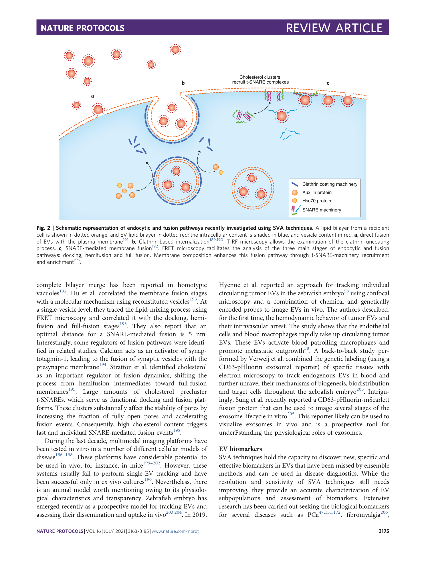 page-13
