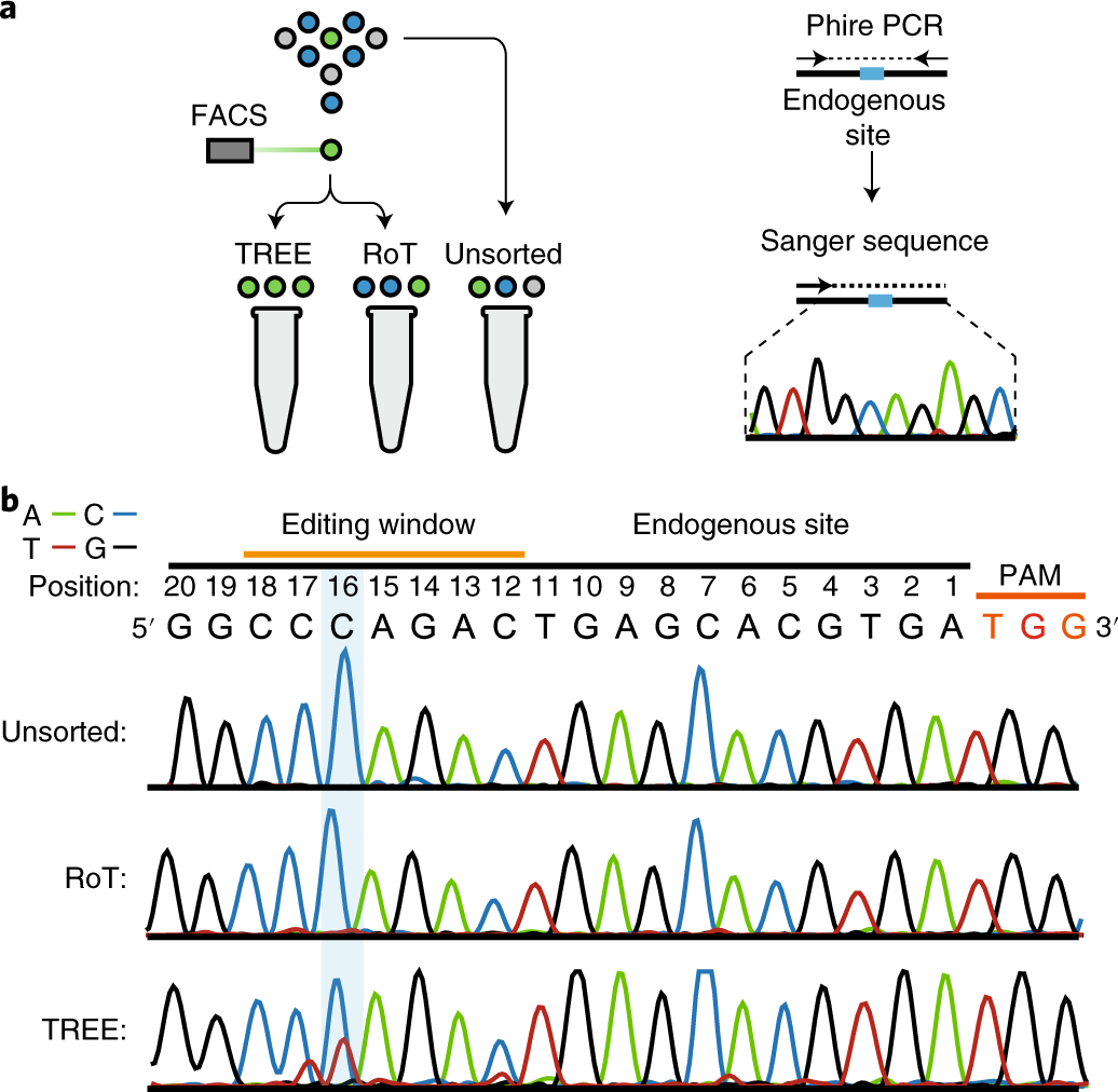 Fig. 6: Representative analysis of editing in bulk sorted hPSCs.