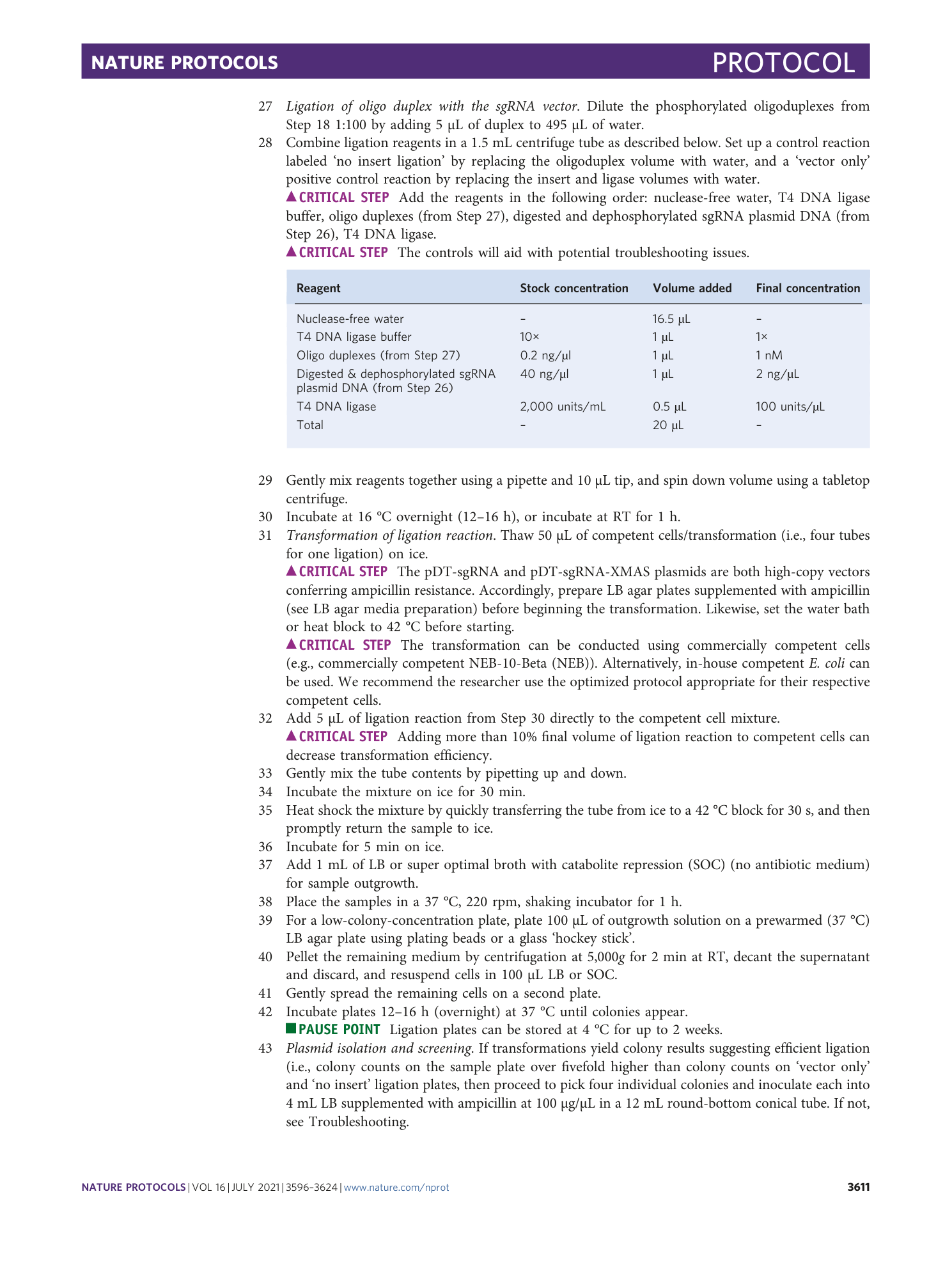 page-16
