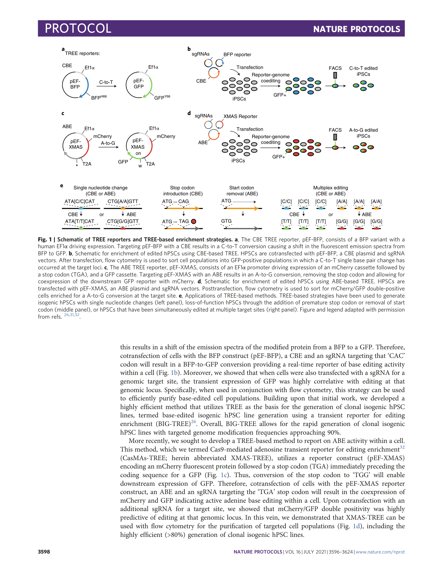 page-3