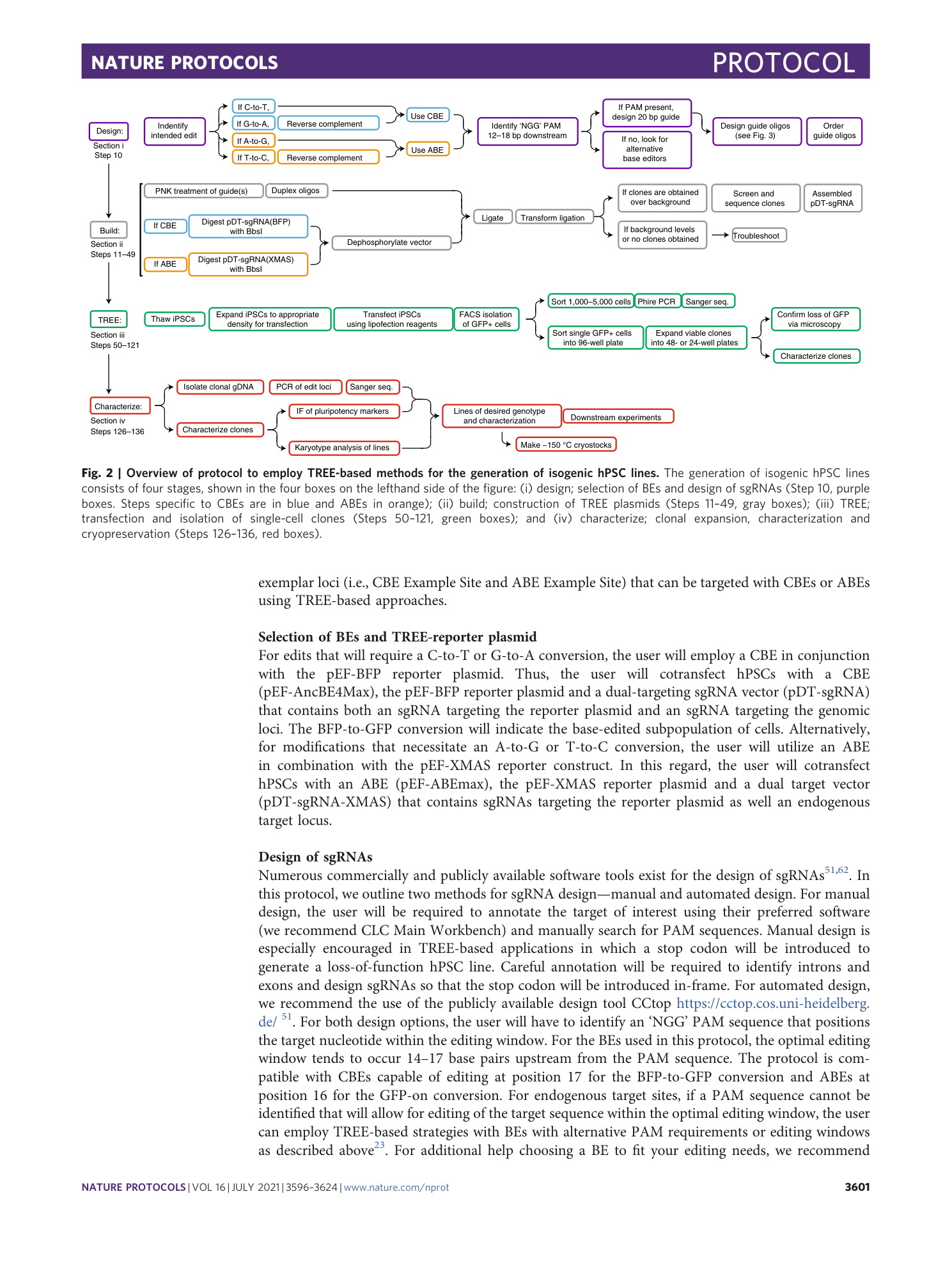 page-6