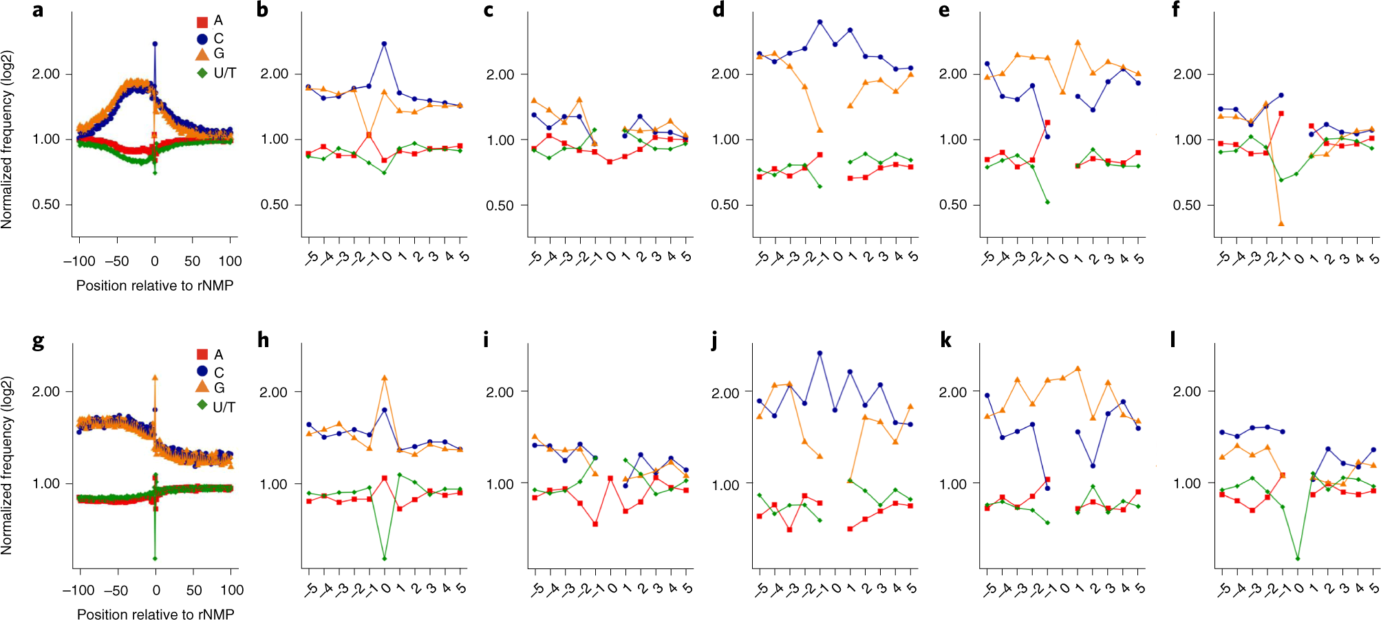 Fig. 4: DNA sequence context of rNMPs in mitochondrial yeast DNA.