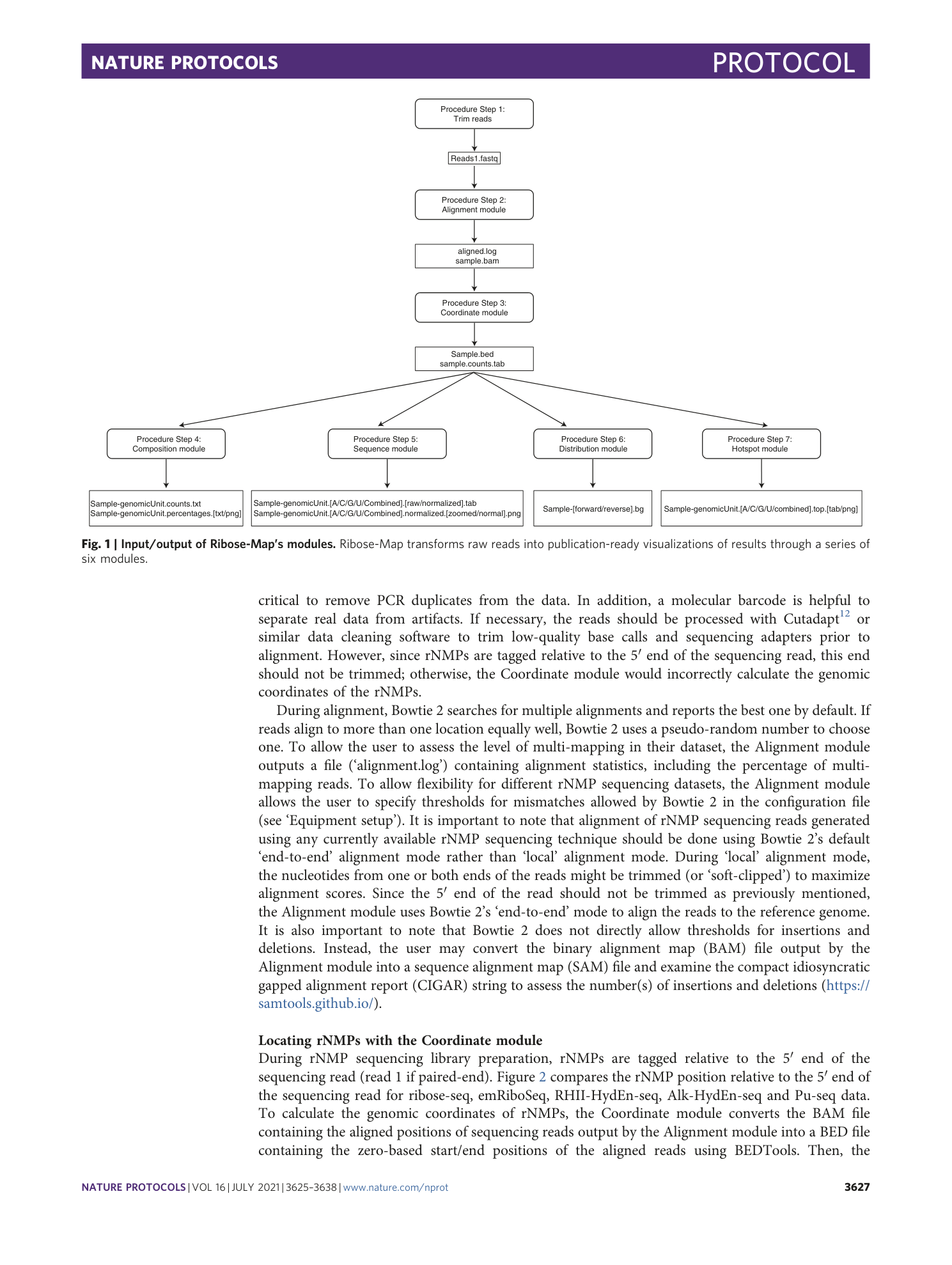 page-3